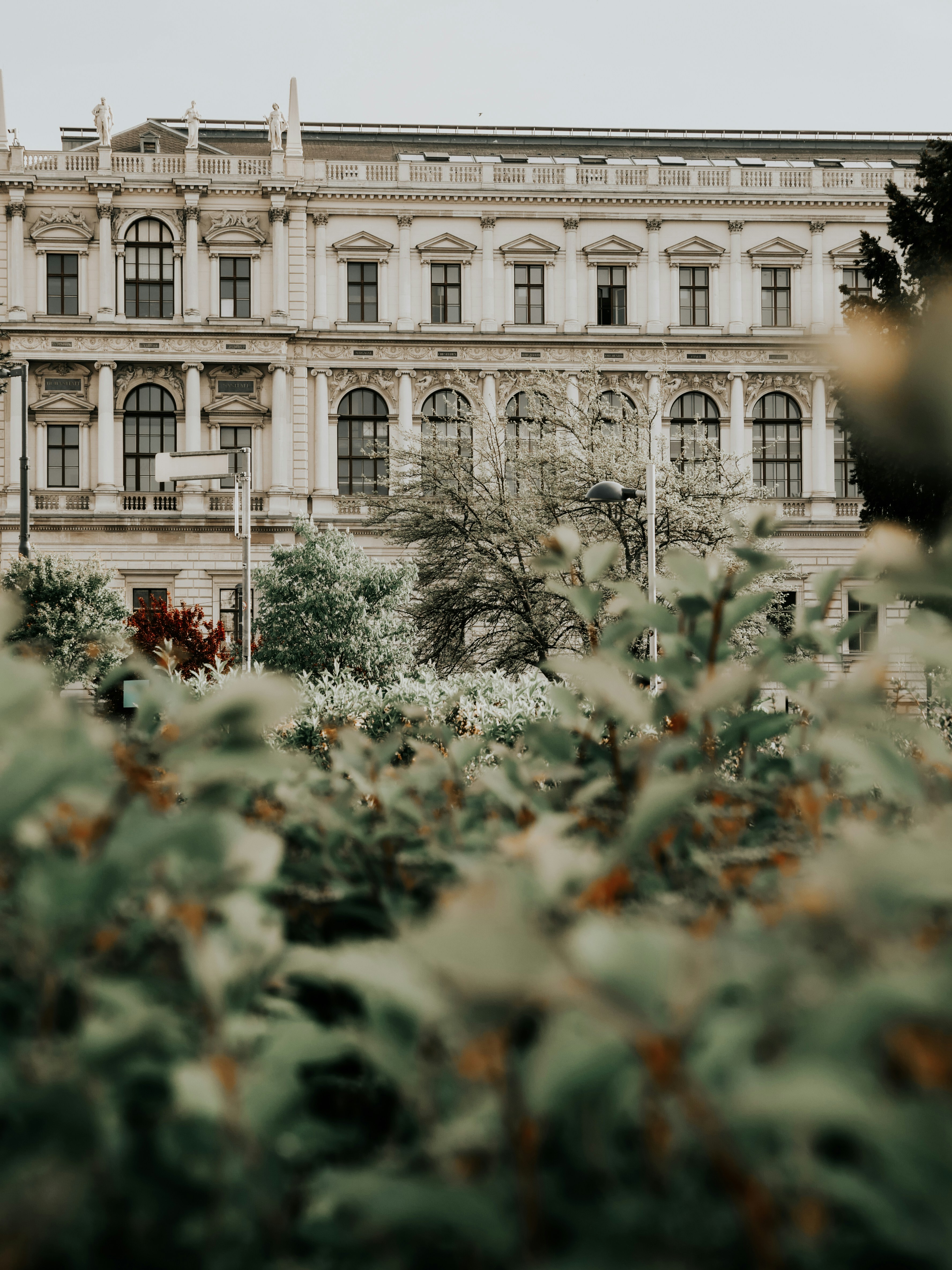 Photo by temps_sauvage