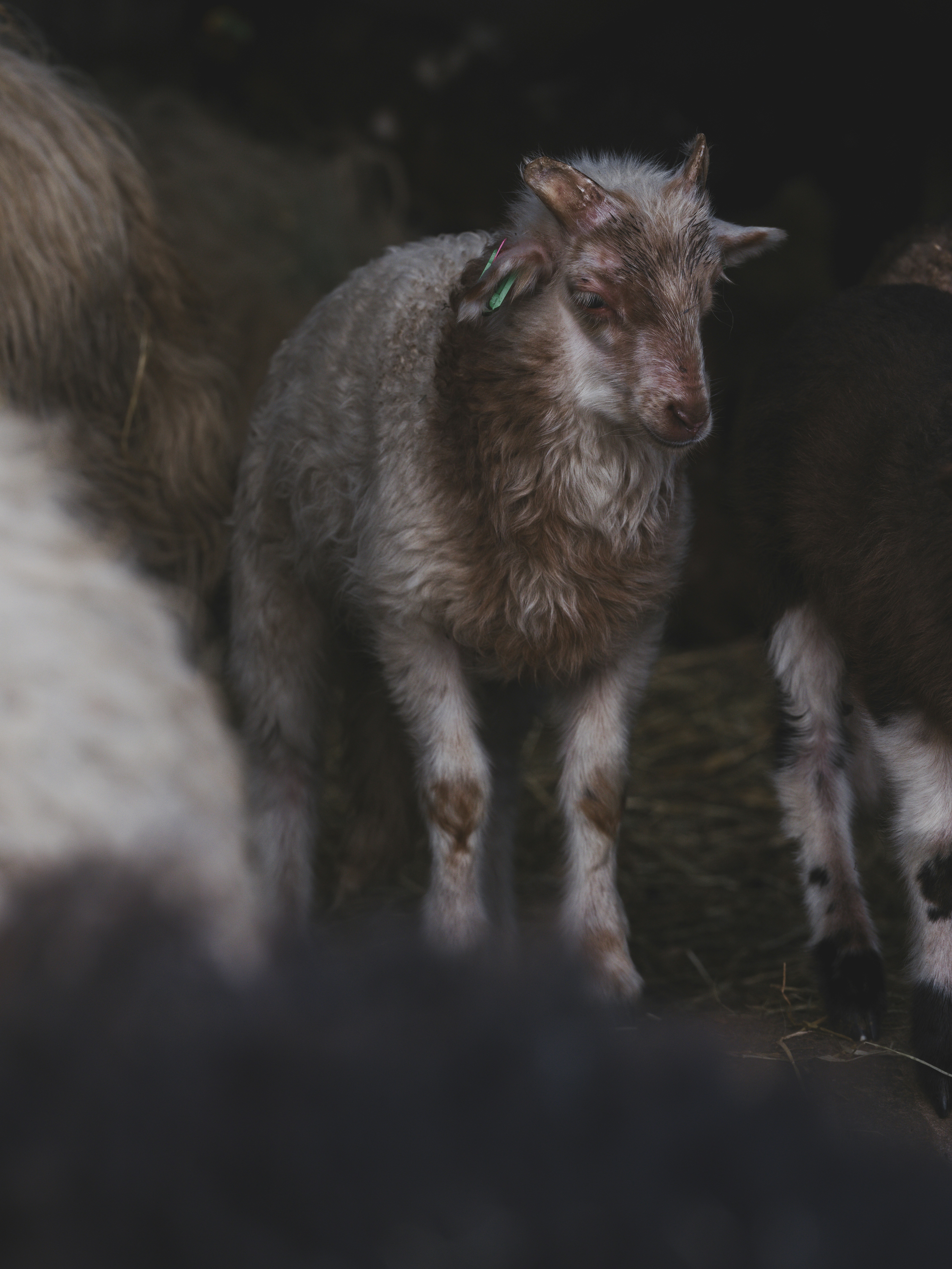 Photo by haberdoedas