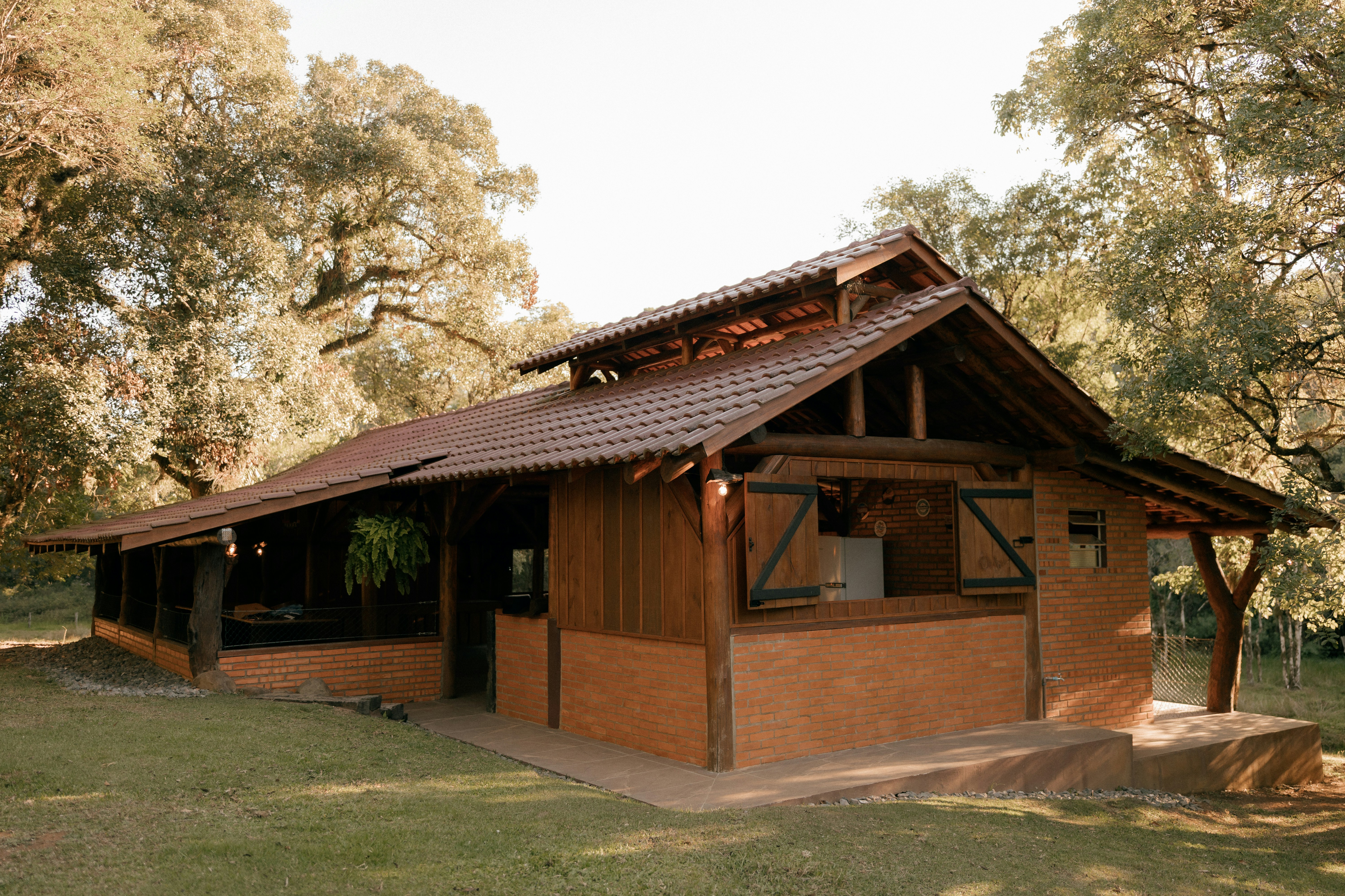 Rustic wooden cabin nestled among trees in sunlight