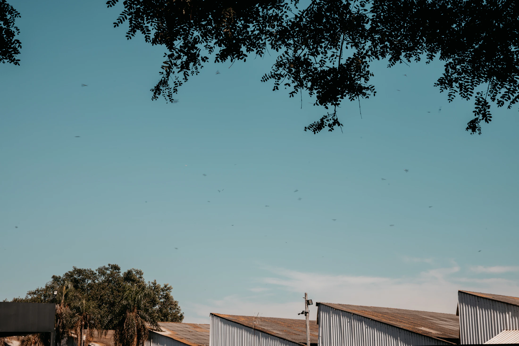 DST vs. REIT: Income, Liquidity & 1031 Eligibility