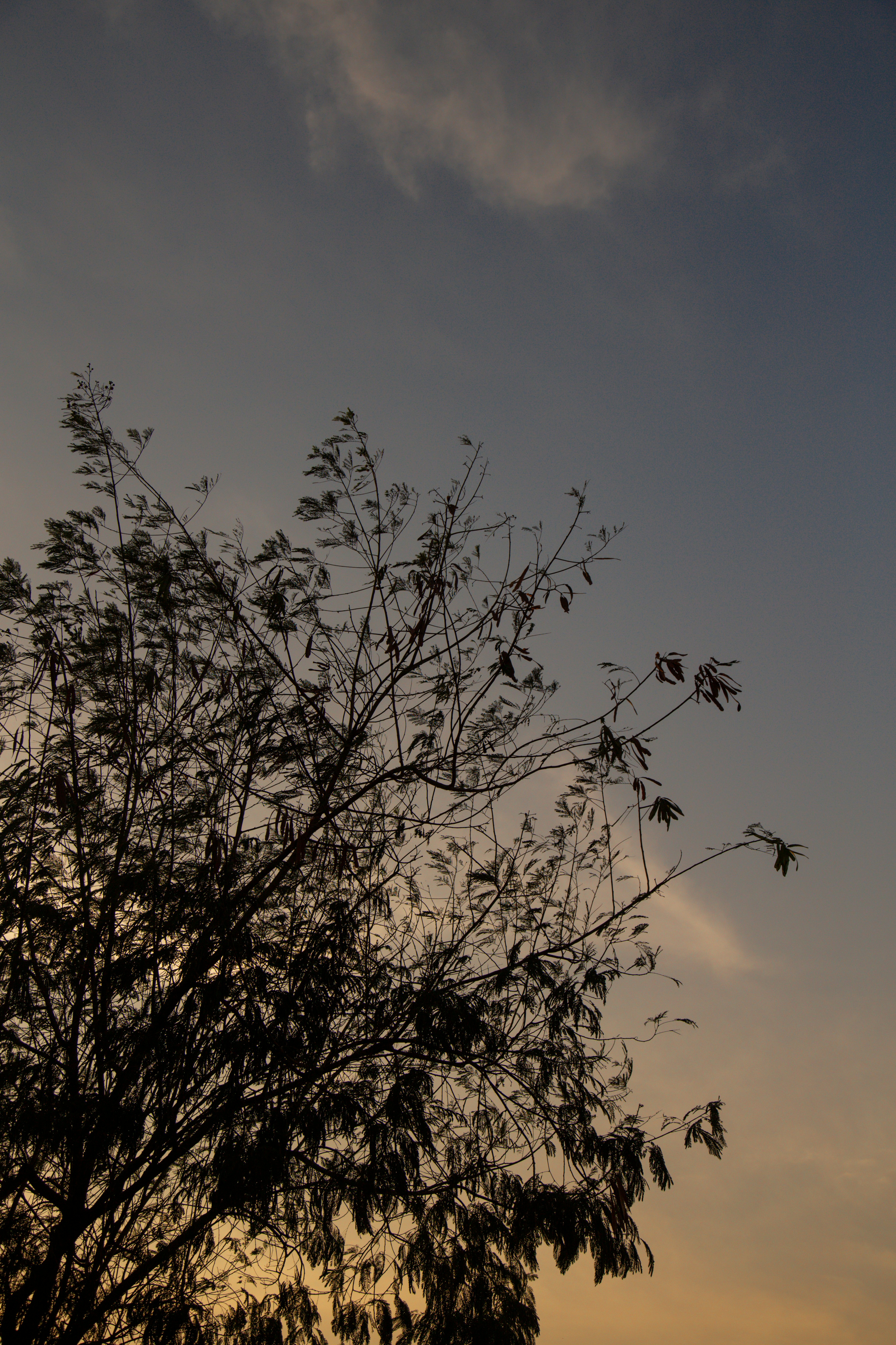 Photo by ishaanthephotoman