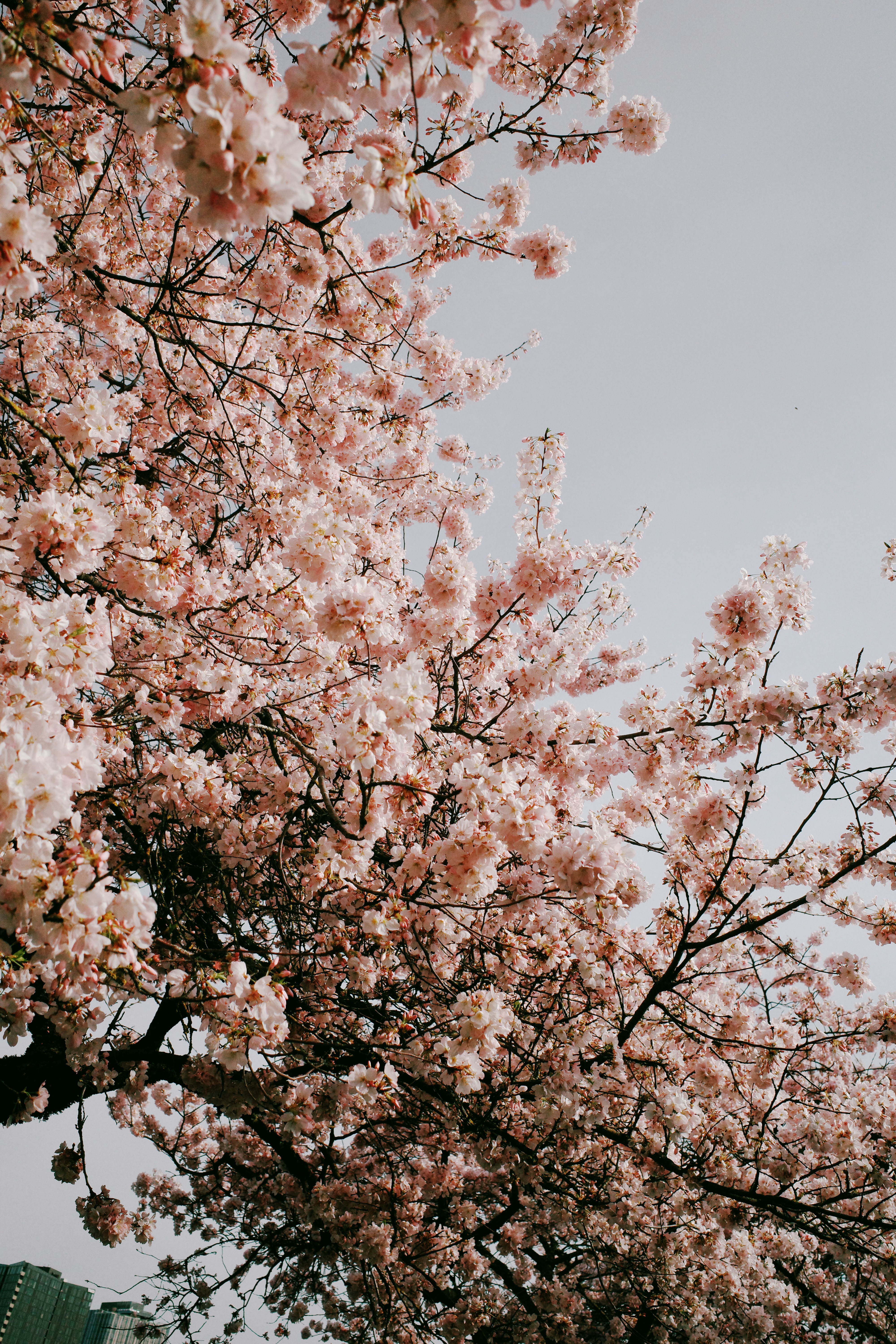 Photo by liosha_shyp