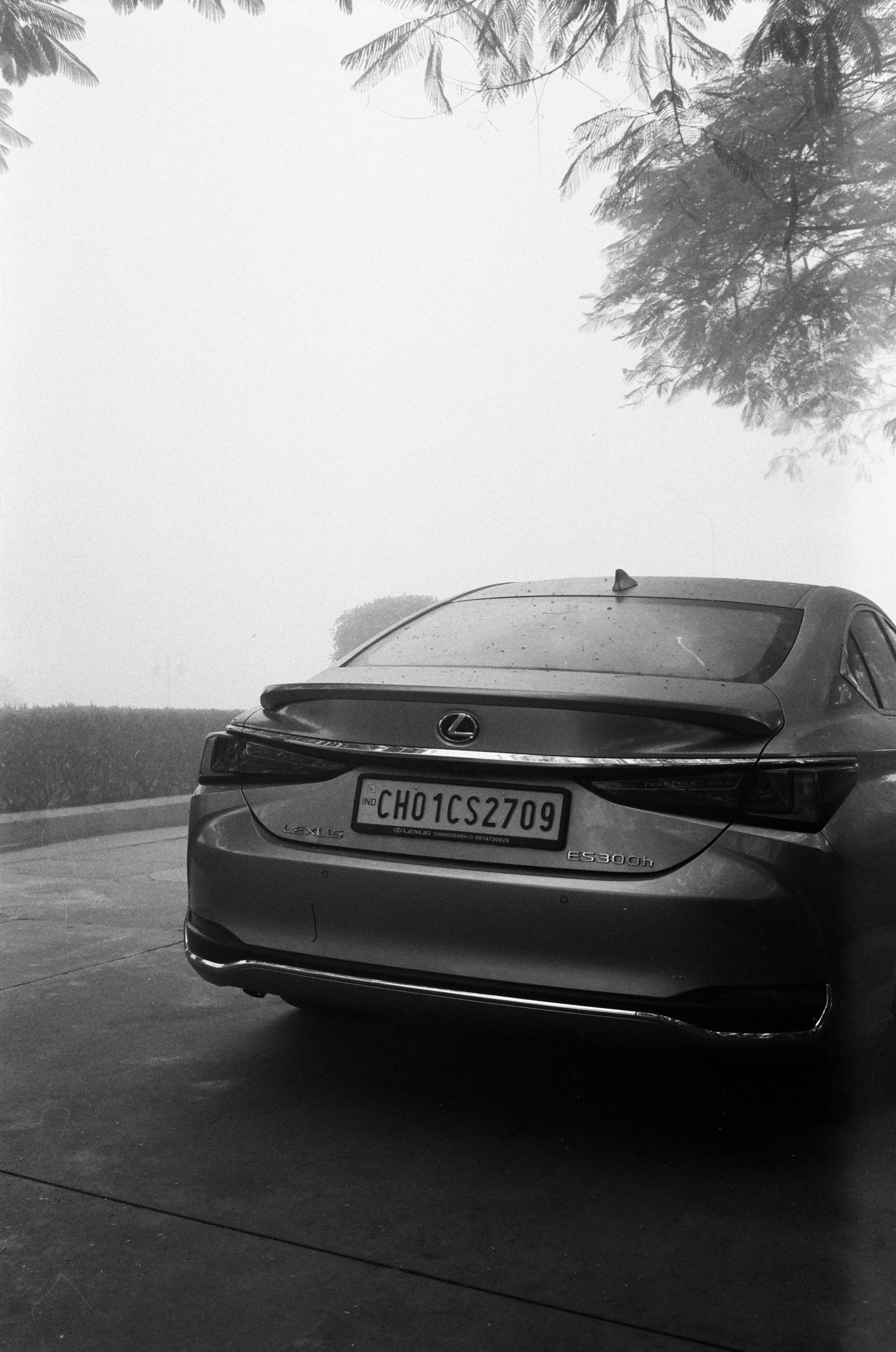 Rear view of a silver lexus sedan parked outdoors.