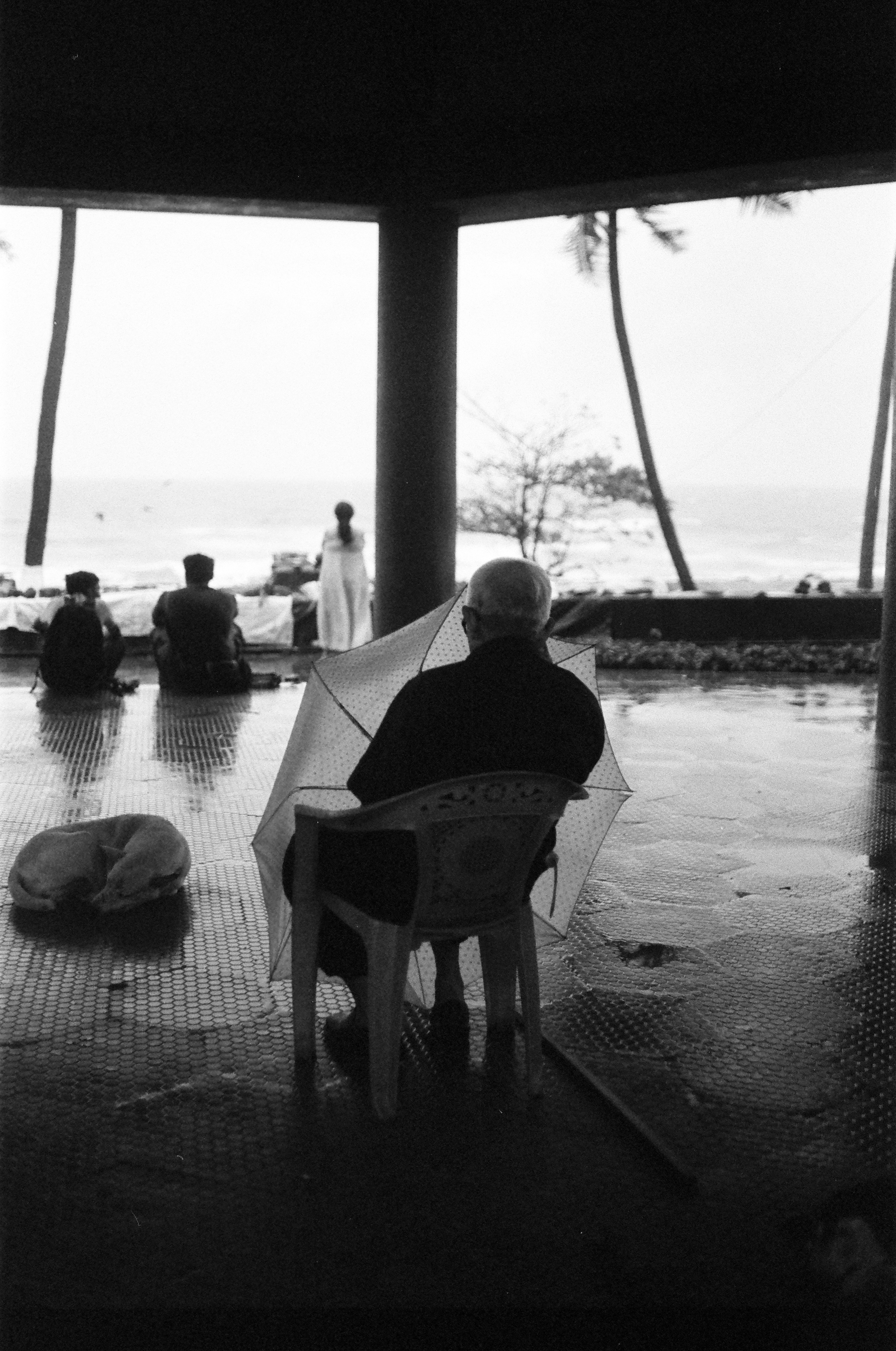 People and dog watch rain from shelter by the ocean.