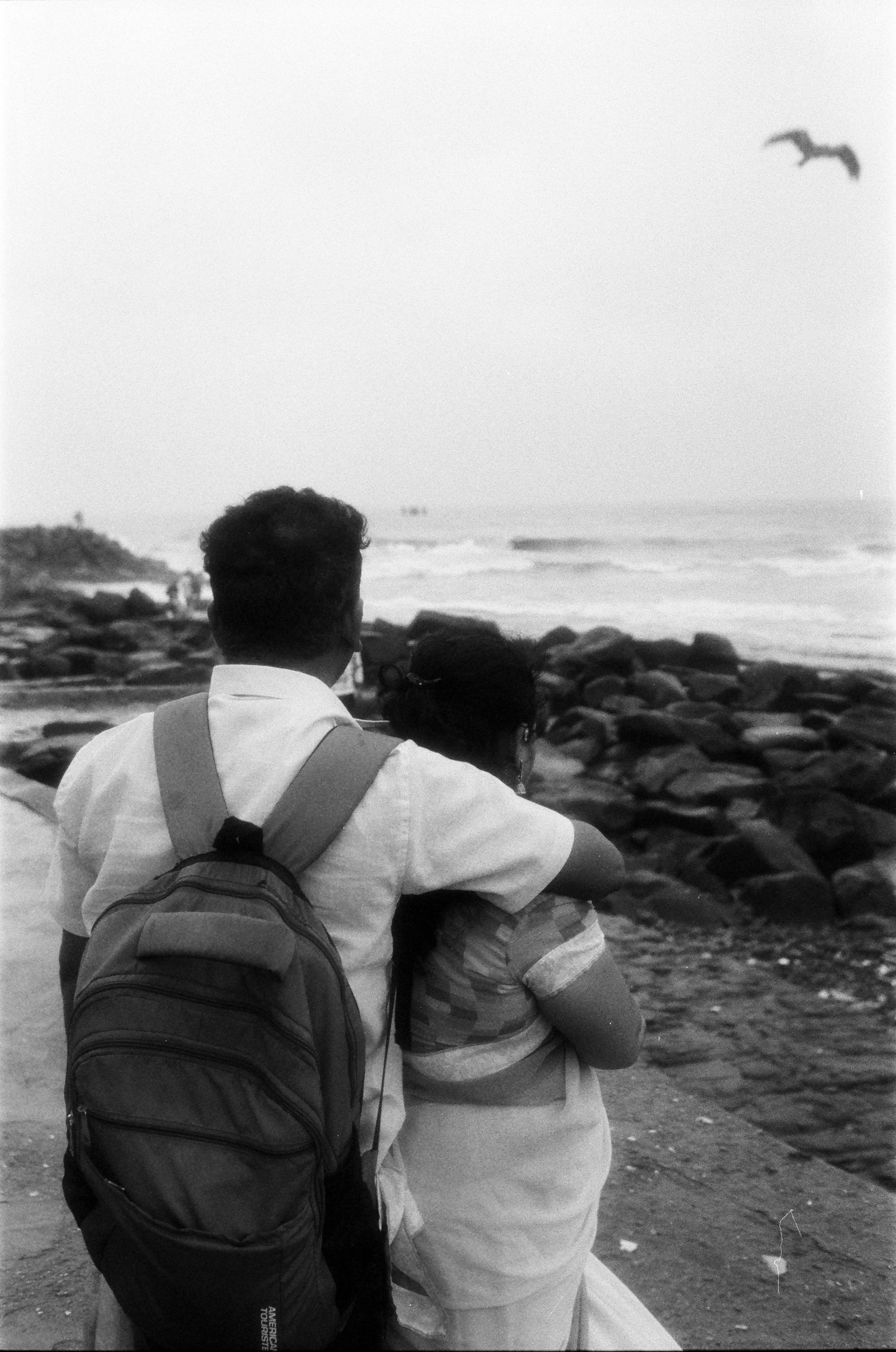 Couple embracing by the ocean with a bird flying.