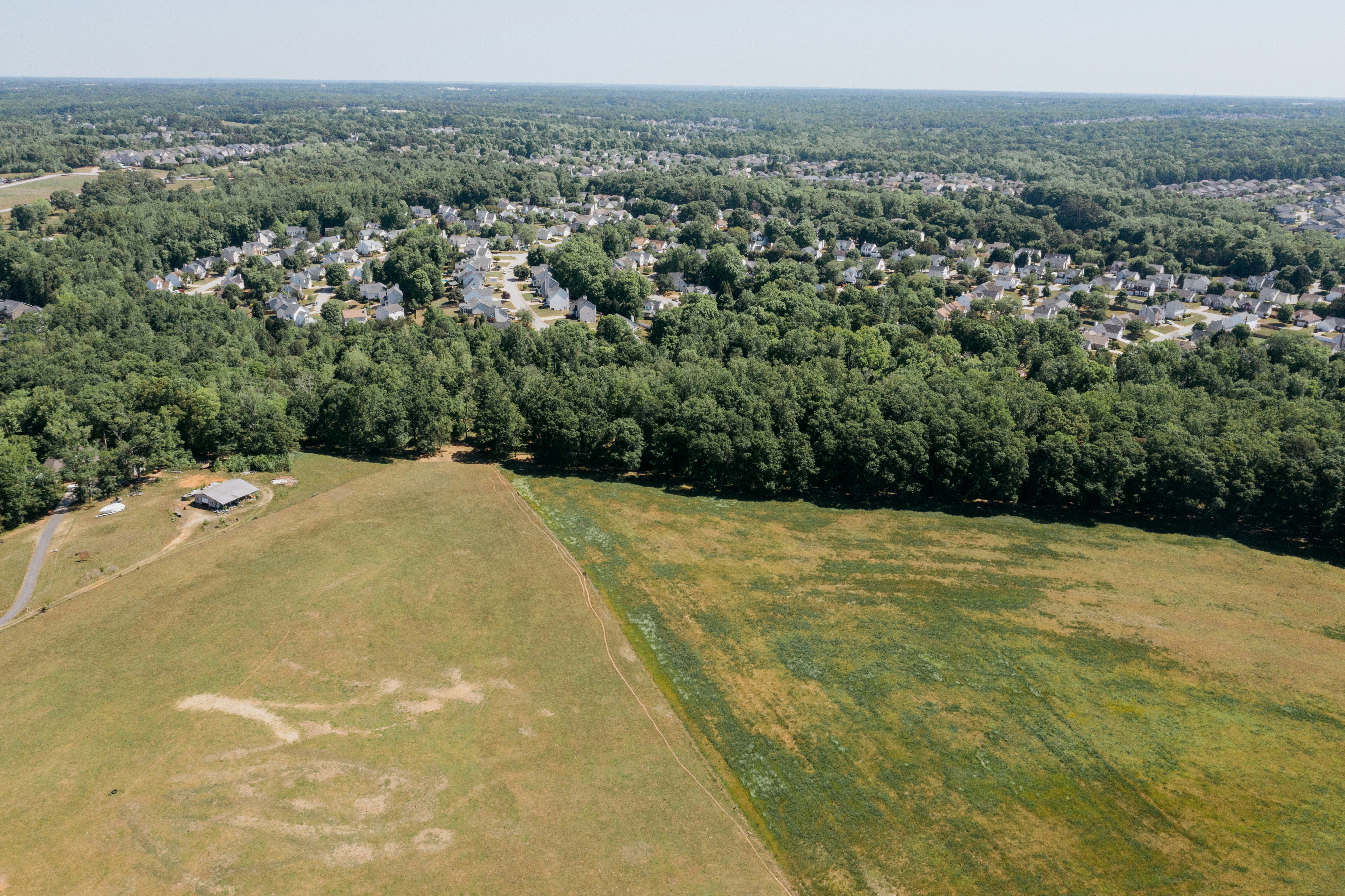 Vista aérea de um bairro suburbano fazendo fronteira com uma floresta