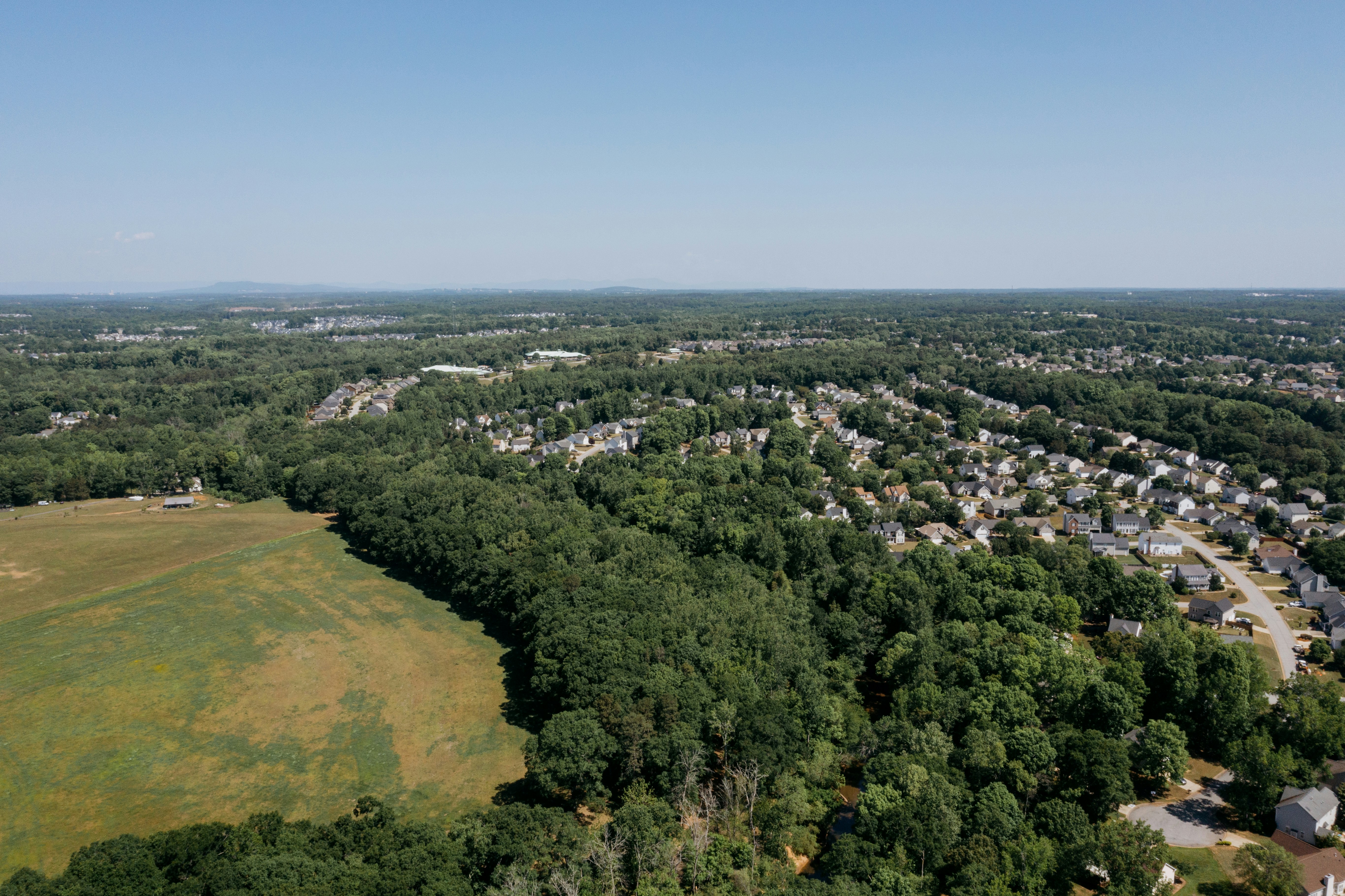 Aerial view of suburban homes nestled among trees