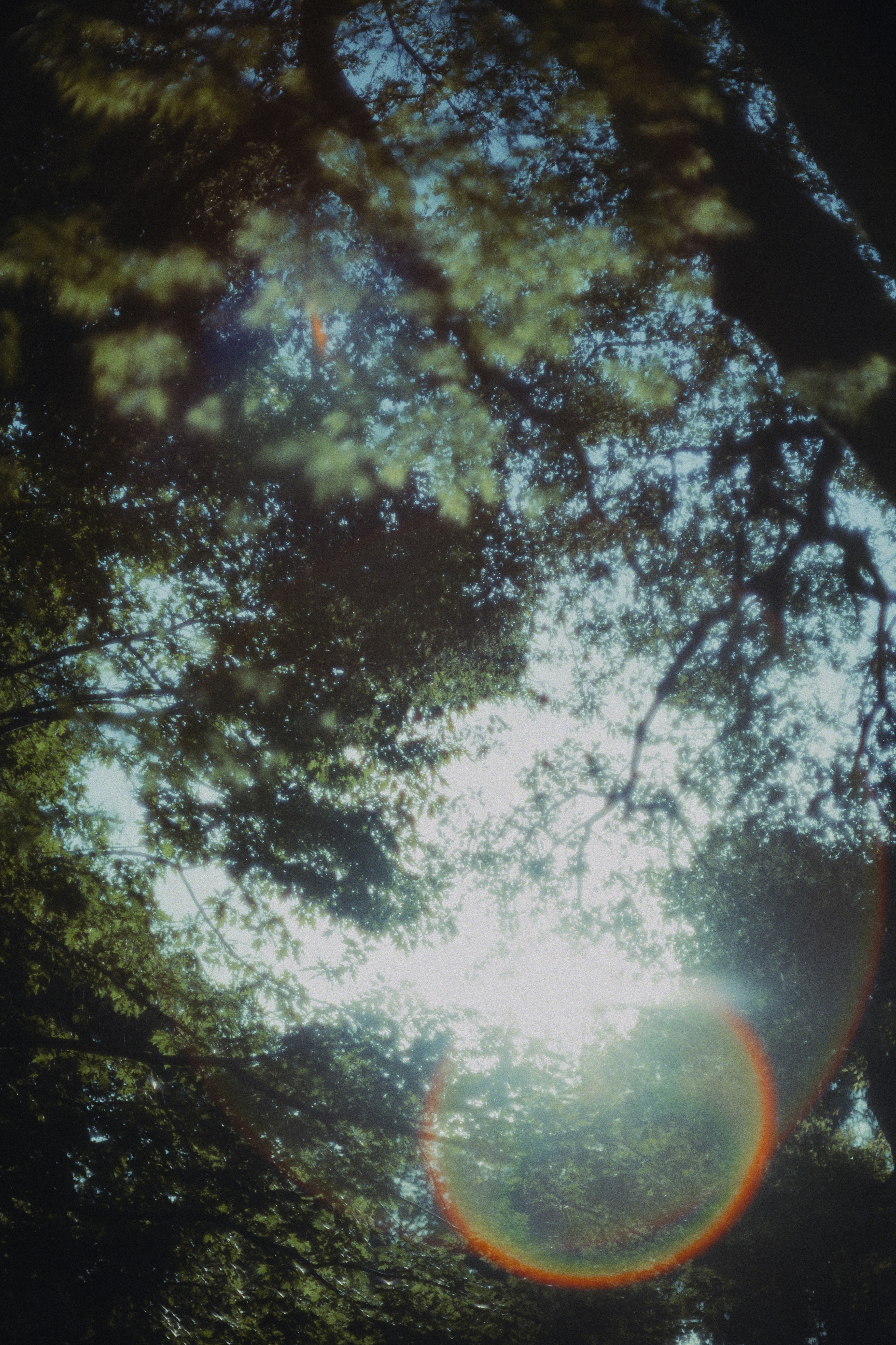 Photo by ninjason