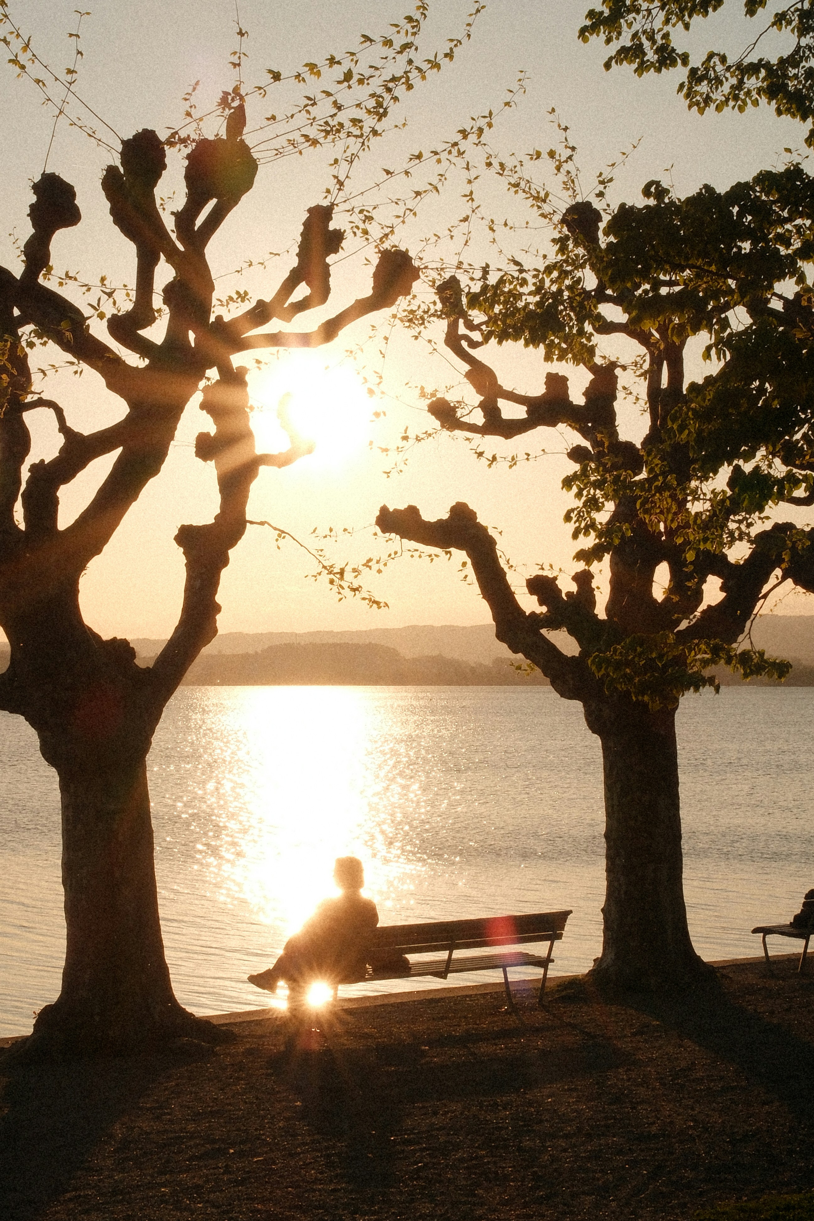 Orang yang duduk di bangku di tepi danau saat matahari terbenam