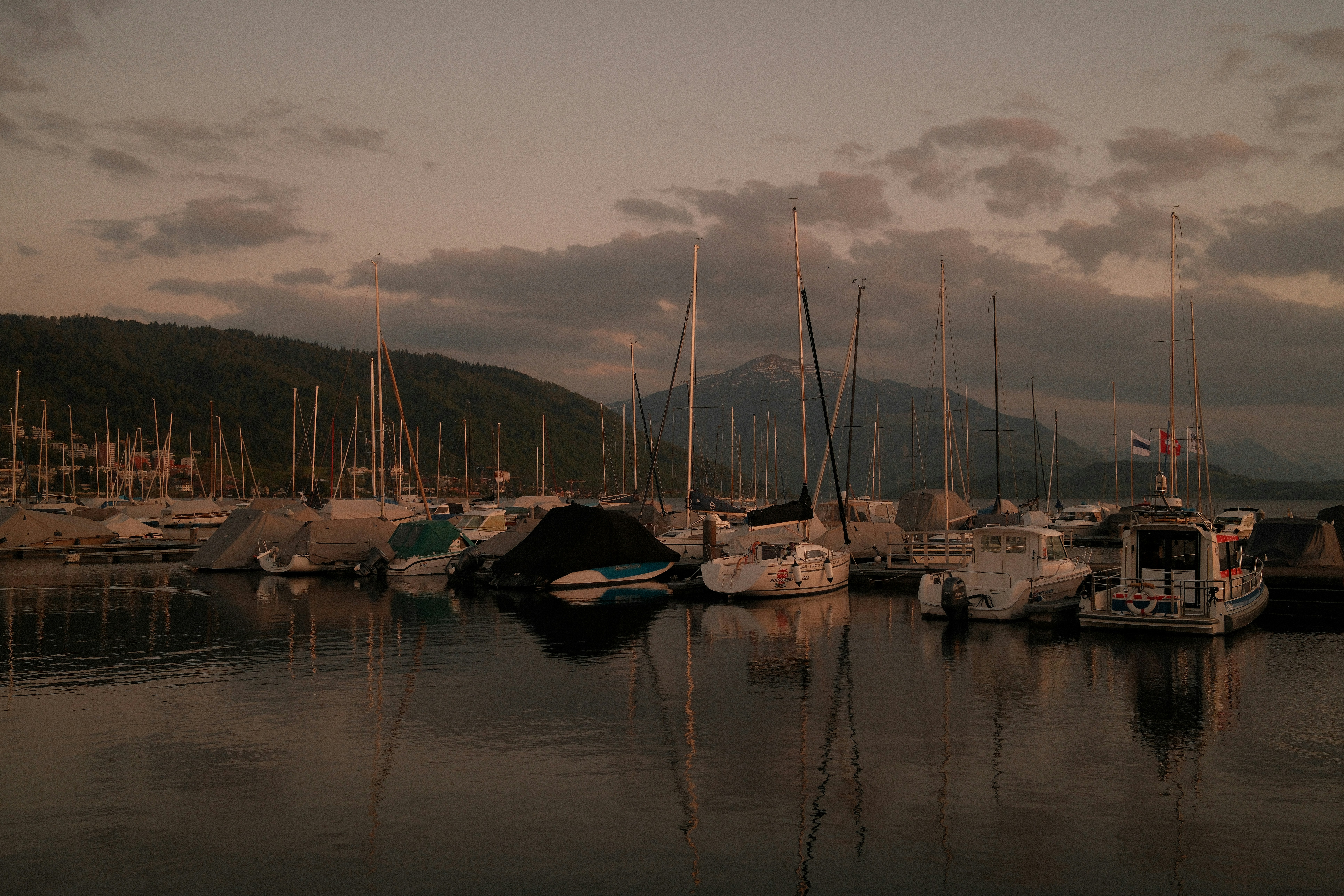 Sailboats docked in a harbor at dusk