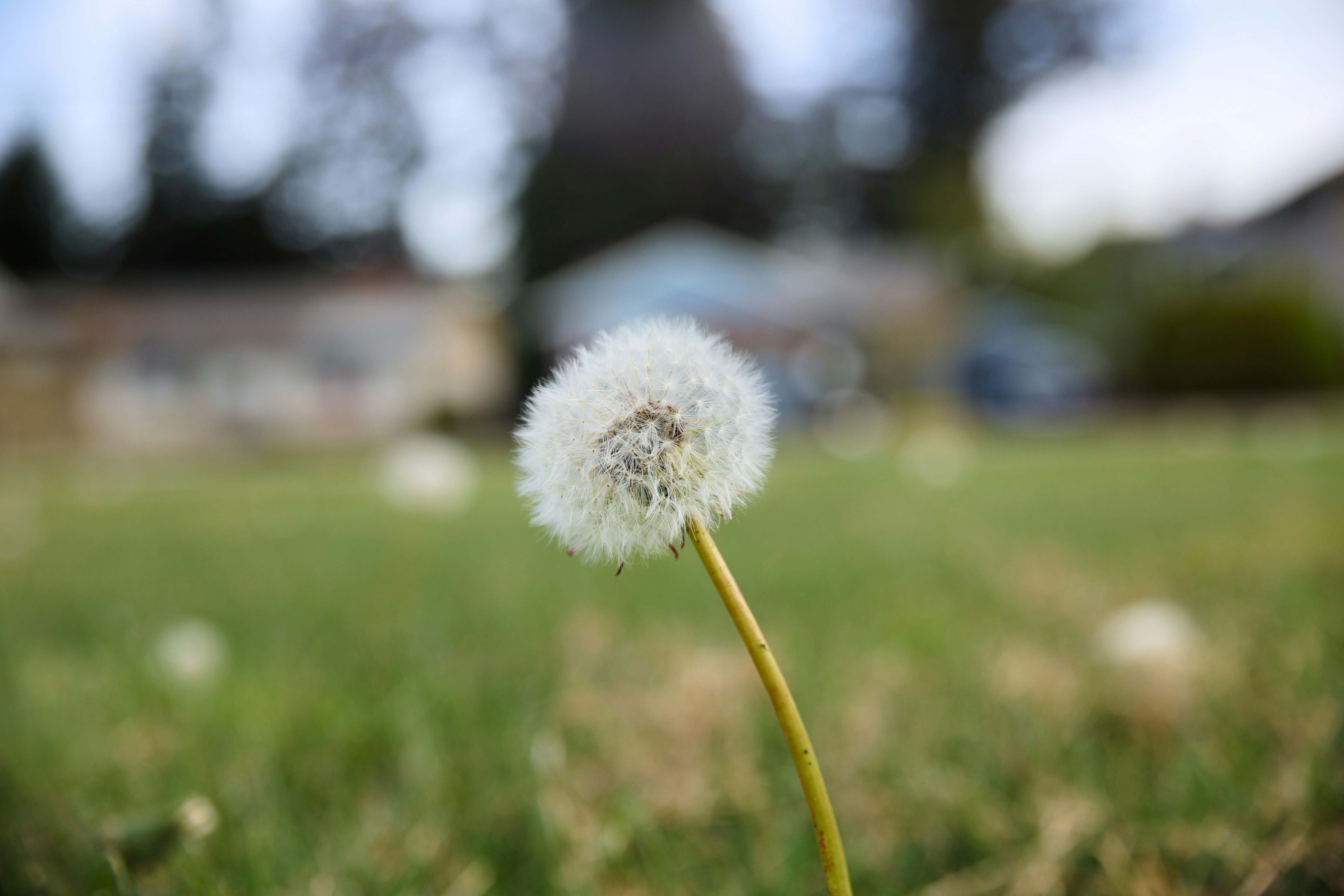 Photo by skyfly_rich