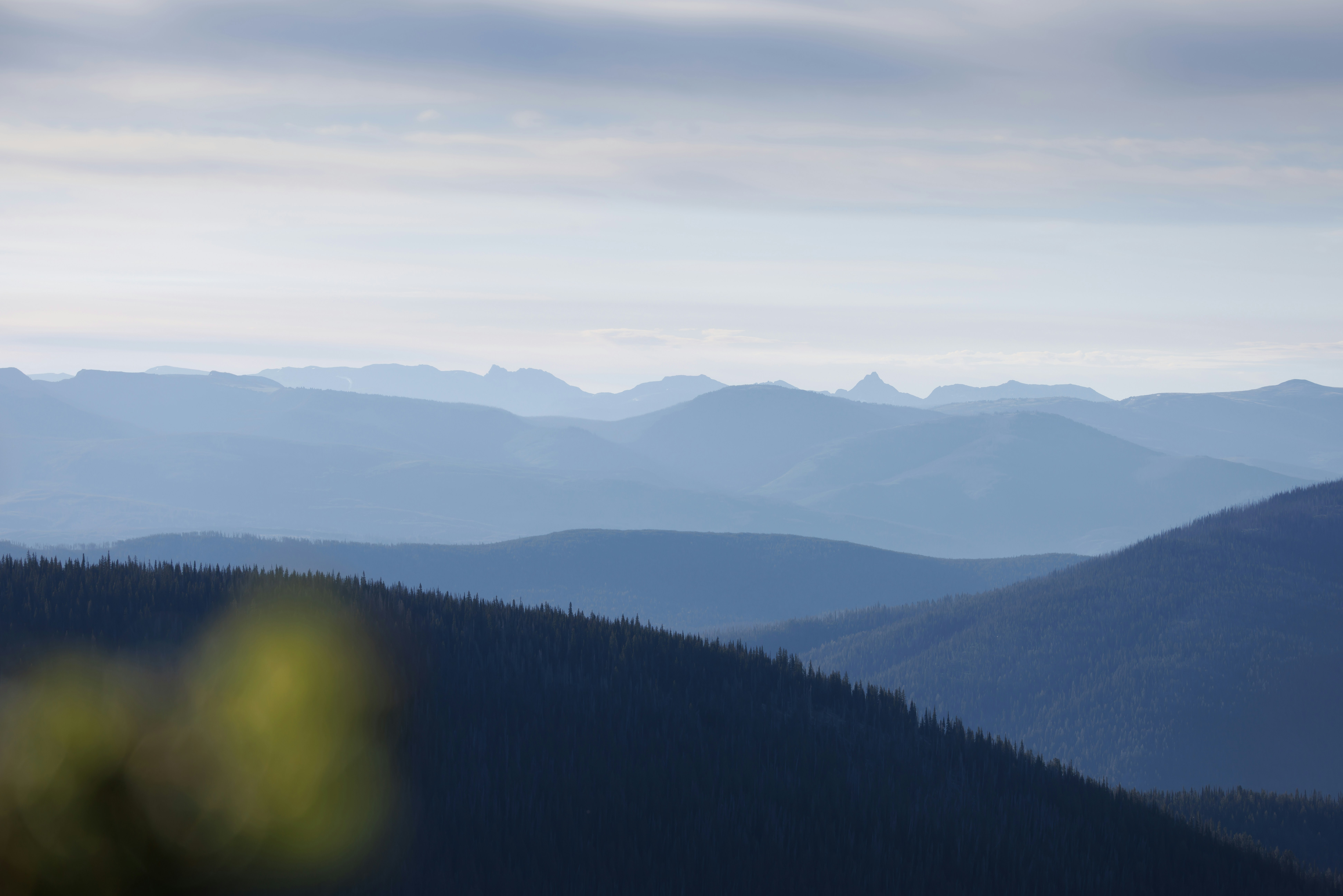 Photo by capturinginthewild