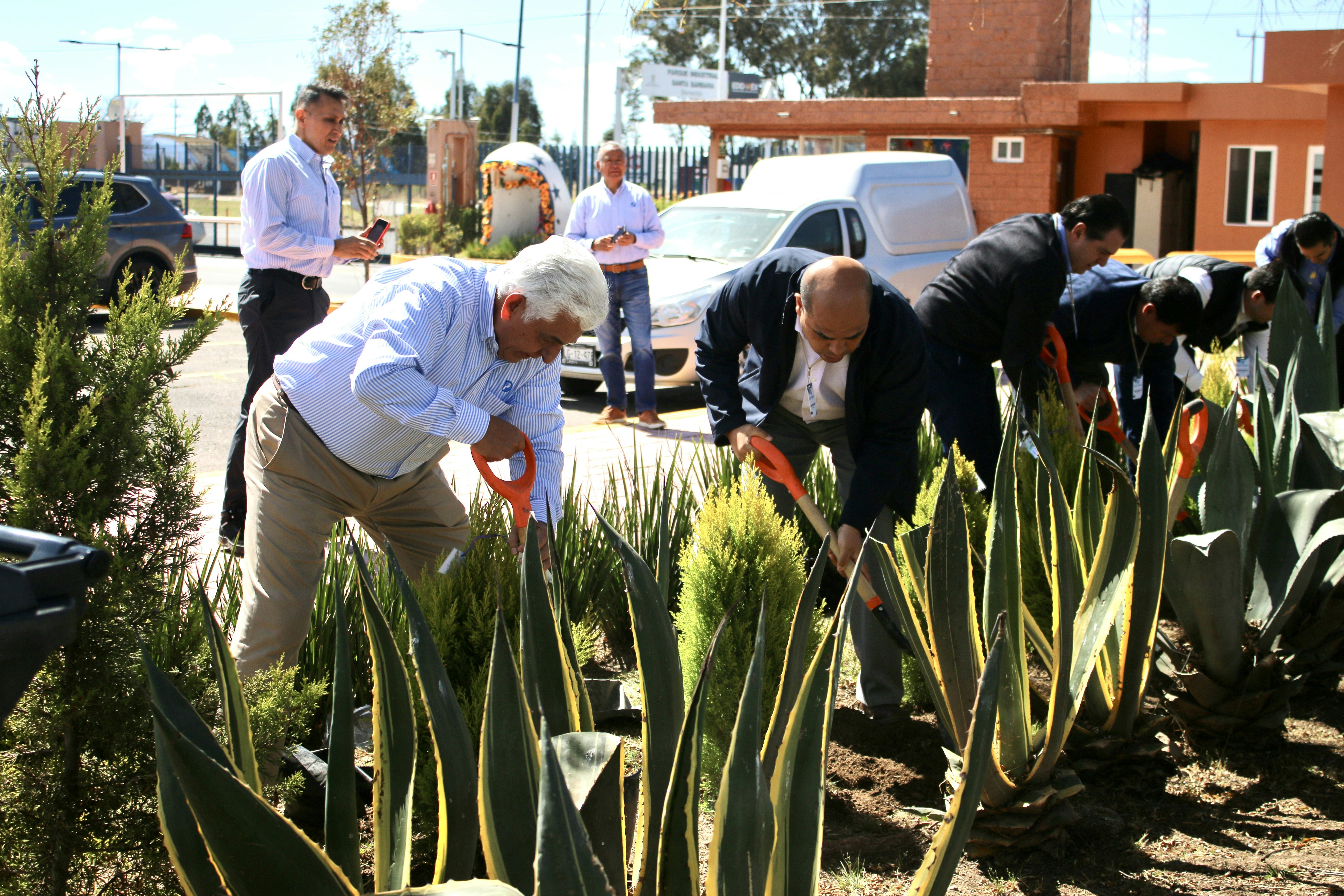Men planting shrubs and plants in a garden.