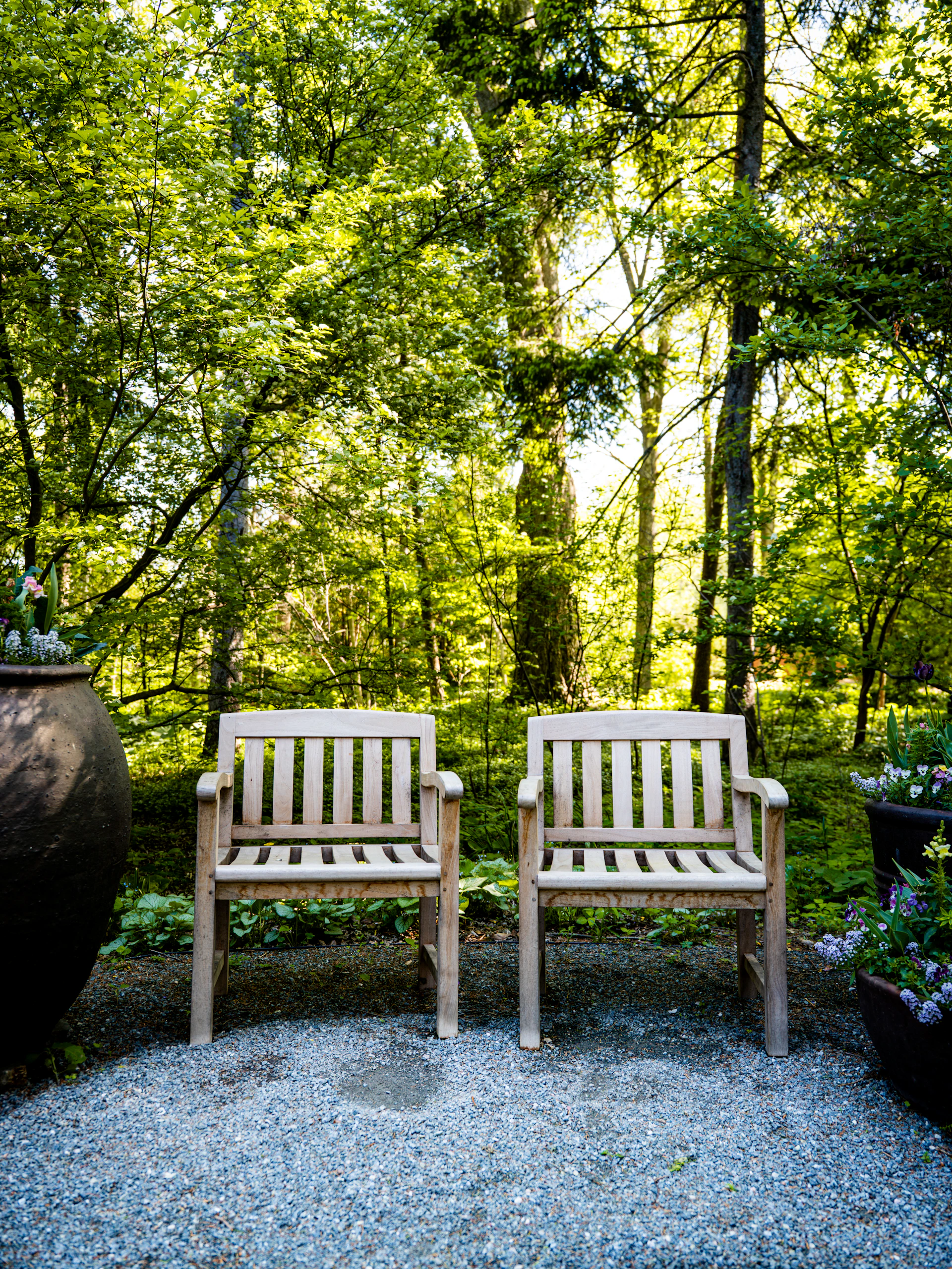 Two wooden chairs in a lush garden setting