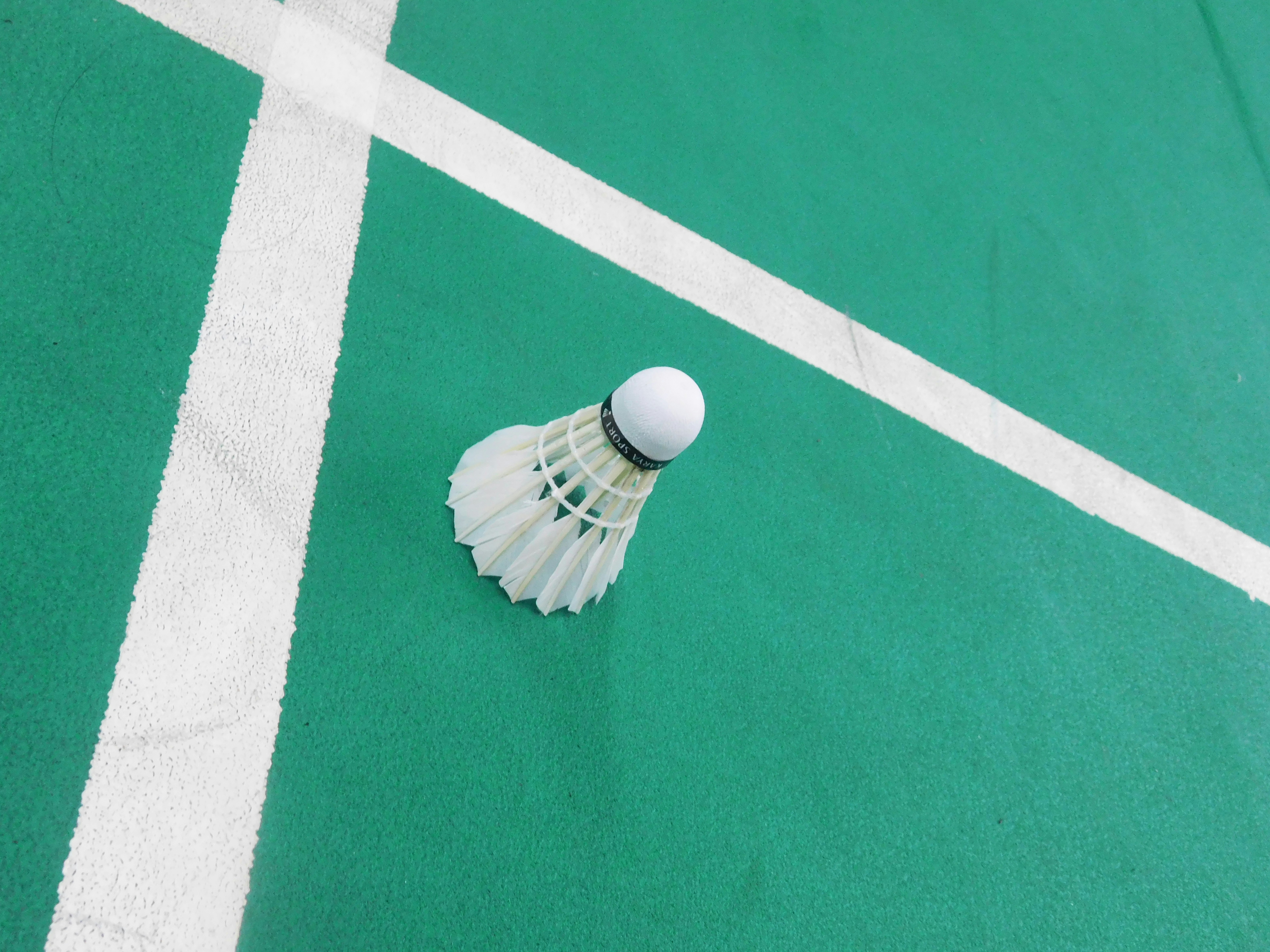 Un volant repose sur un court de badminton vert.