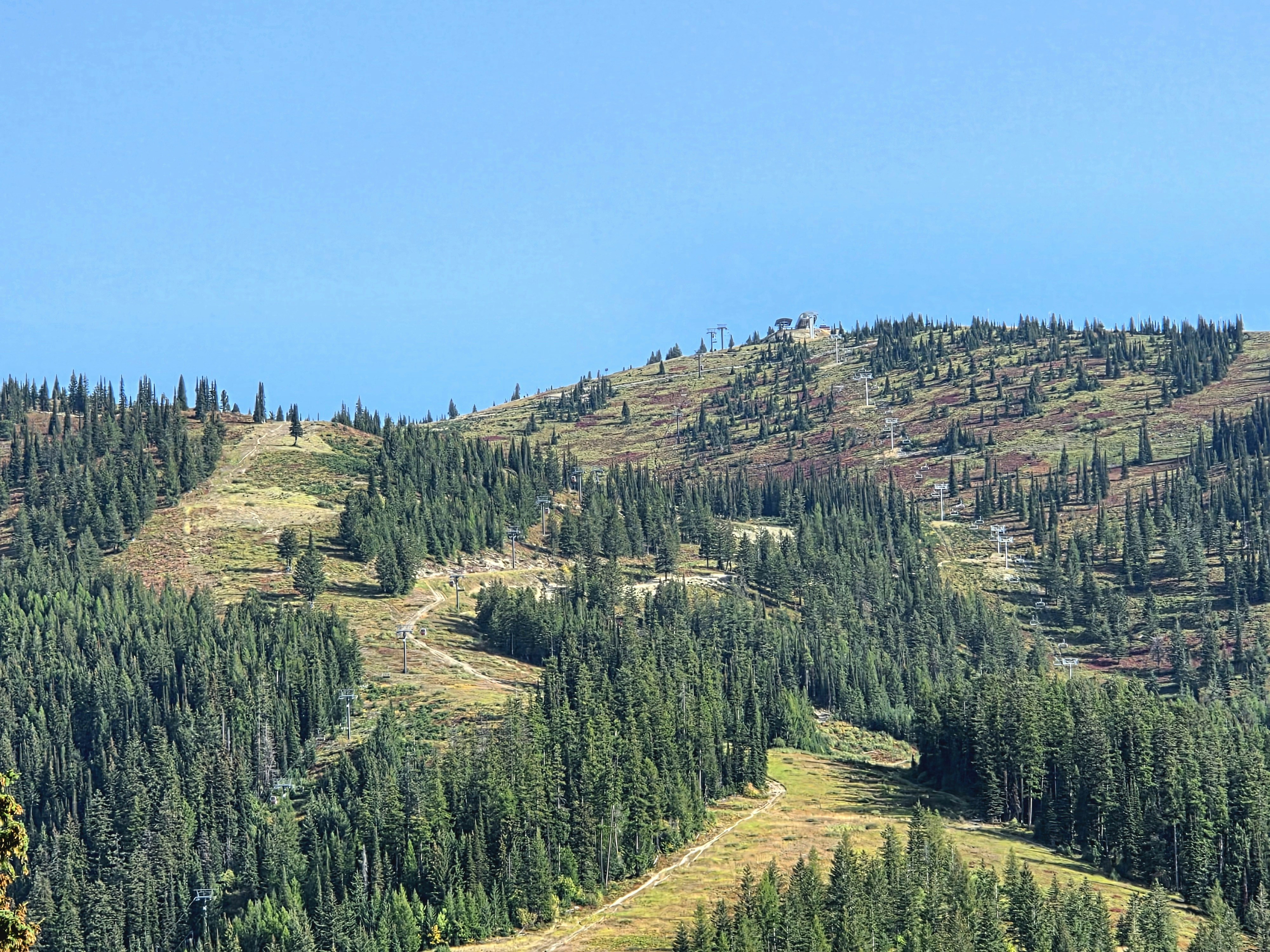 Green forest covers a mountain slope with ski trails.