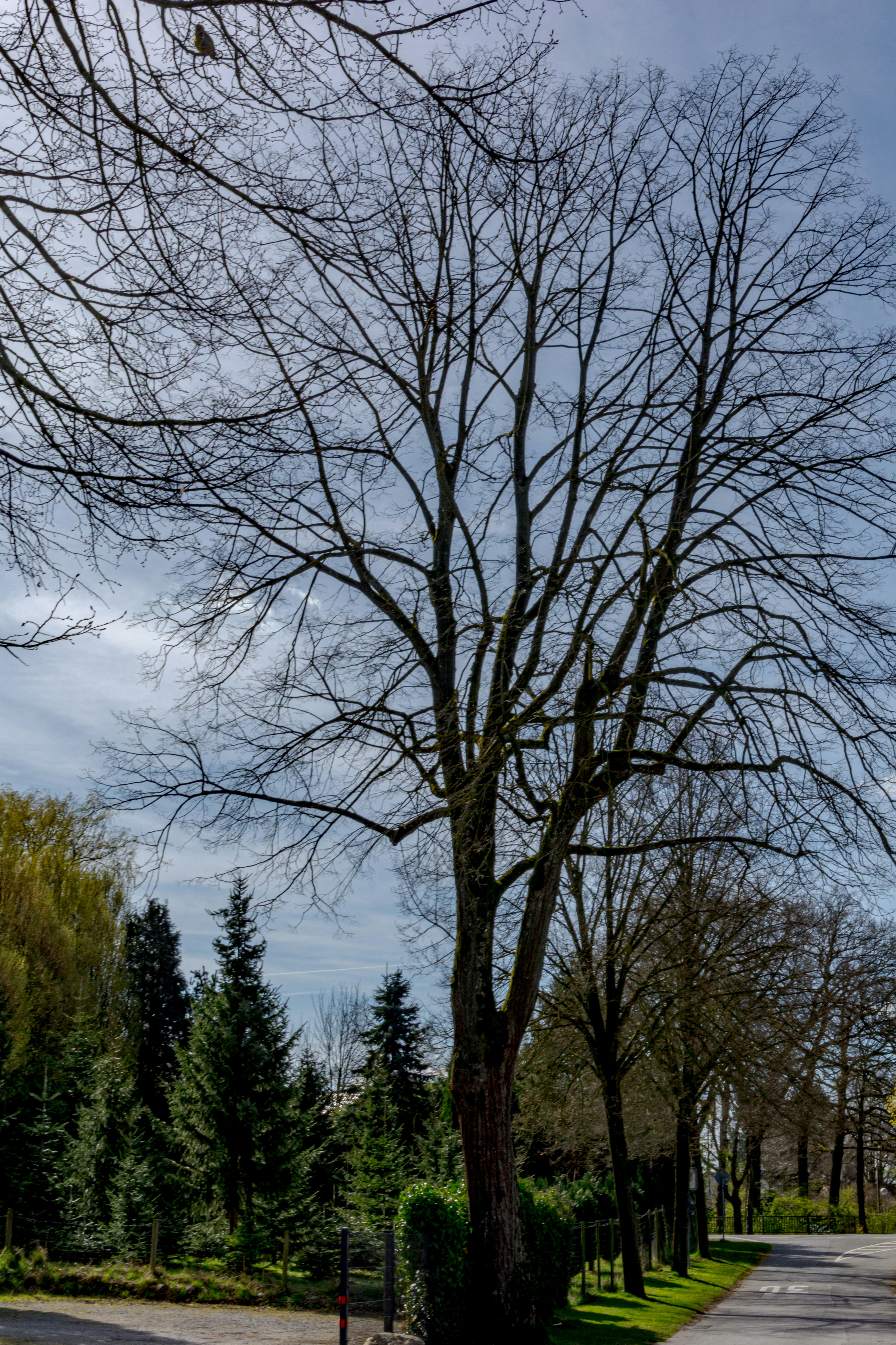 Photo by skstrannik