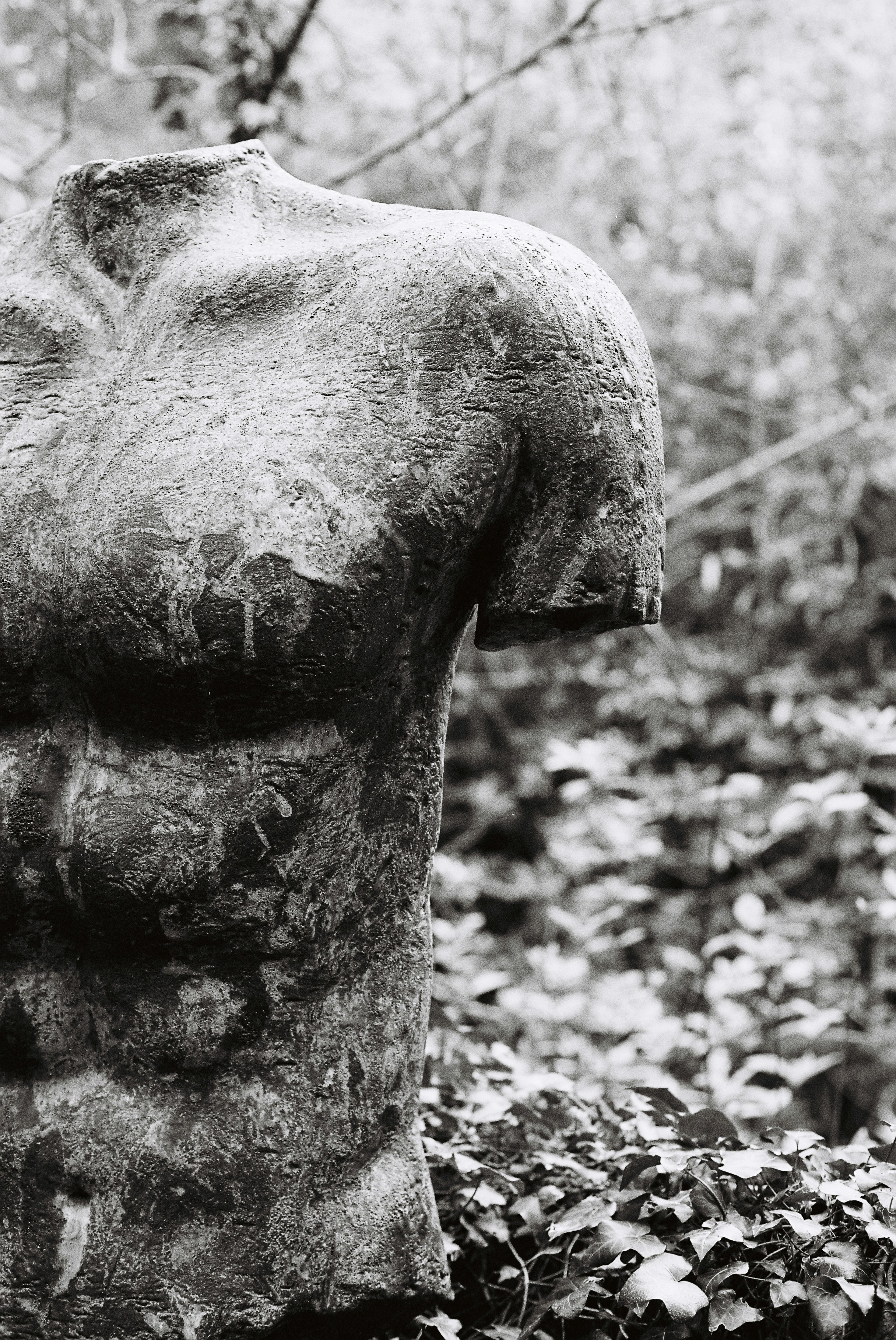 Escultura antiga de torso de pedra em folhagem verde exuberante.