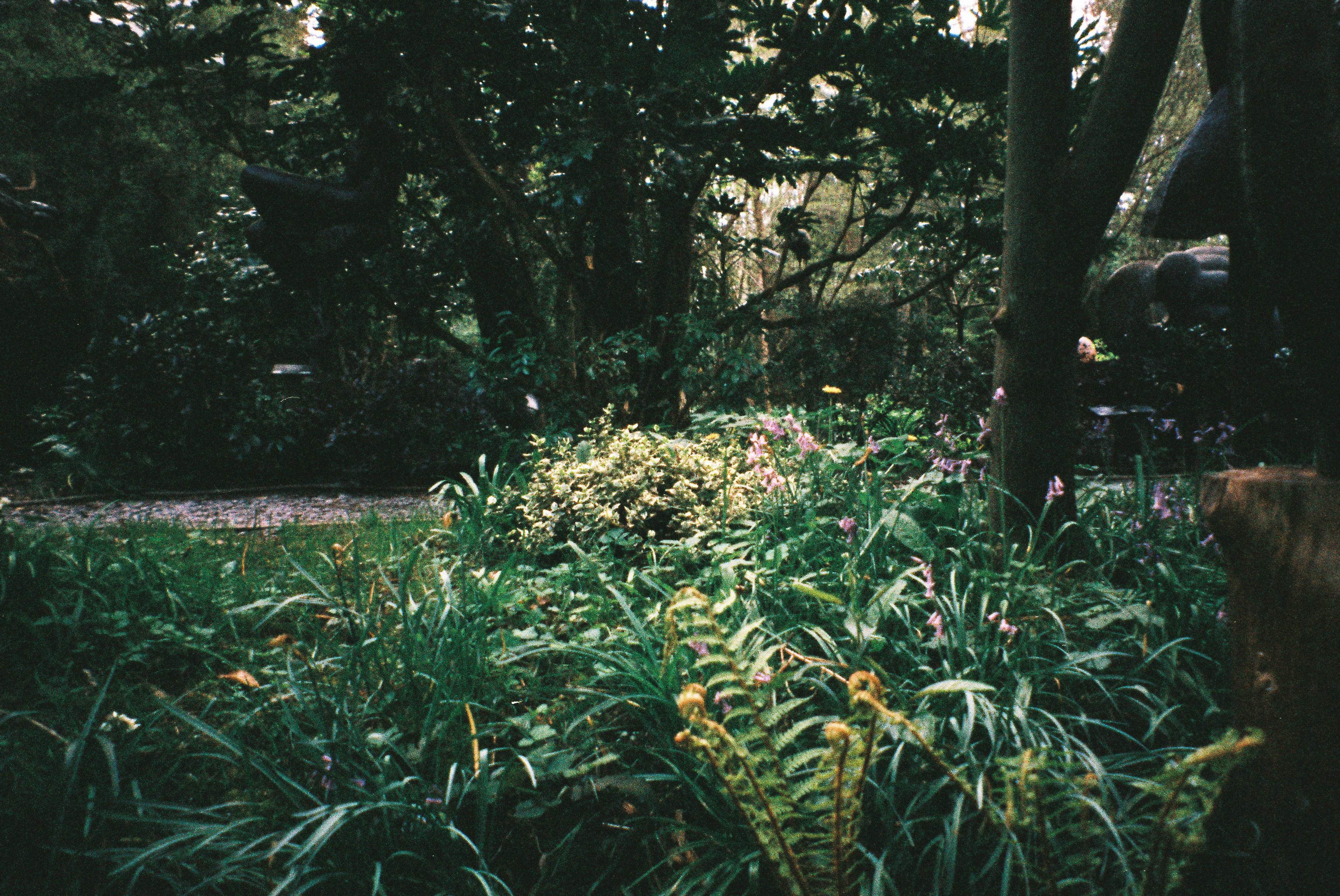 Photo by tanyabarrow