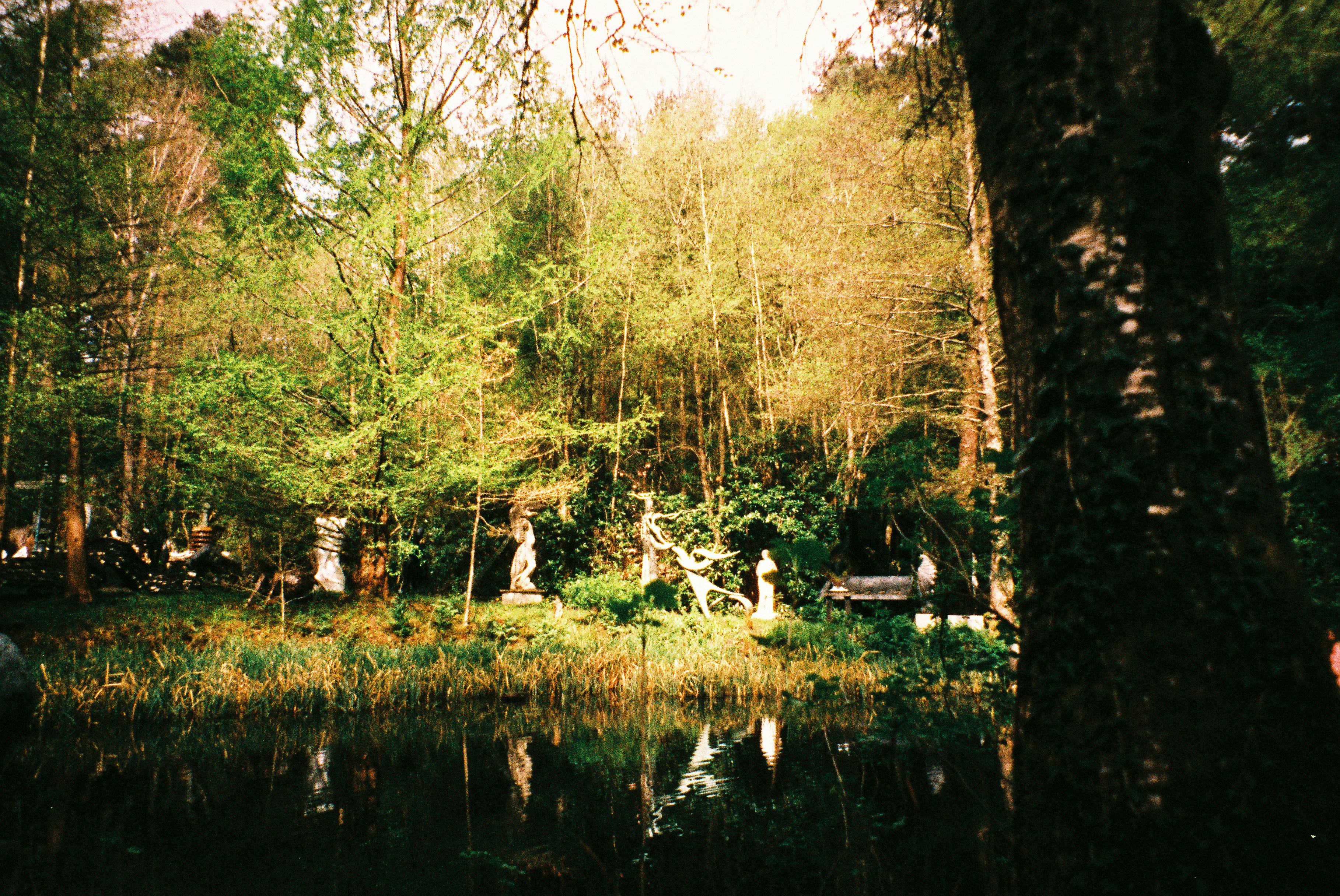 Statues in a sunlit forest clearing by a lake.