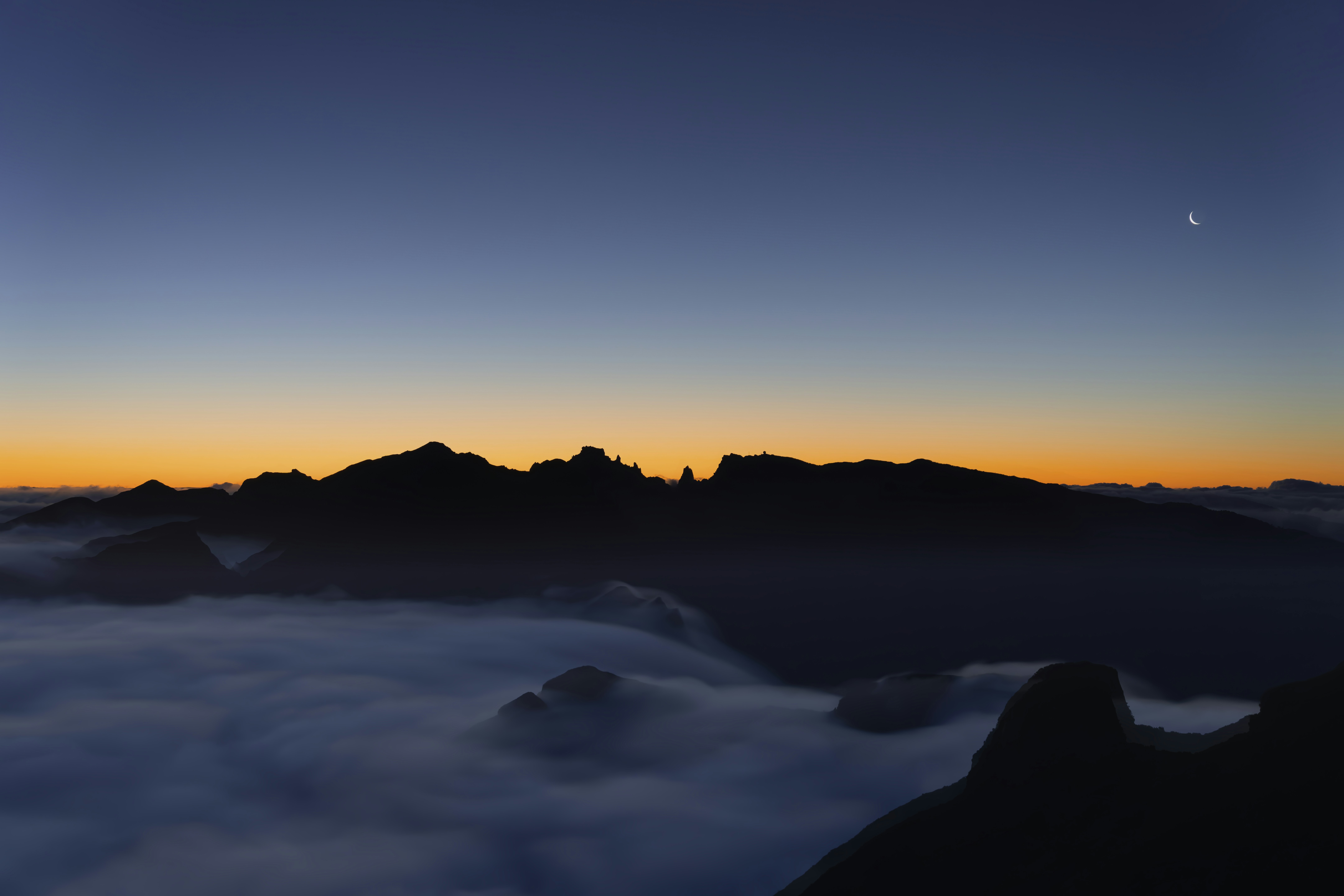 Discover the Leading Agent Registered in Washington