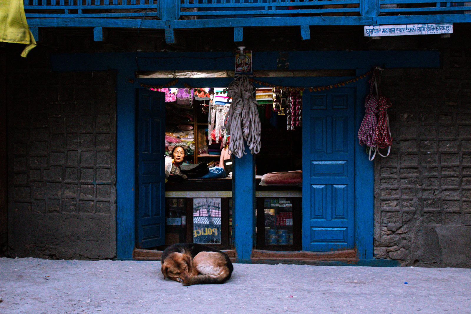 Perro descansando frente a la puerta iluminada de una tienda