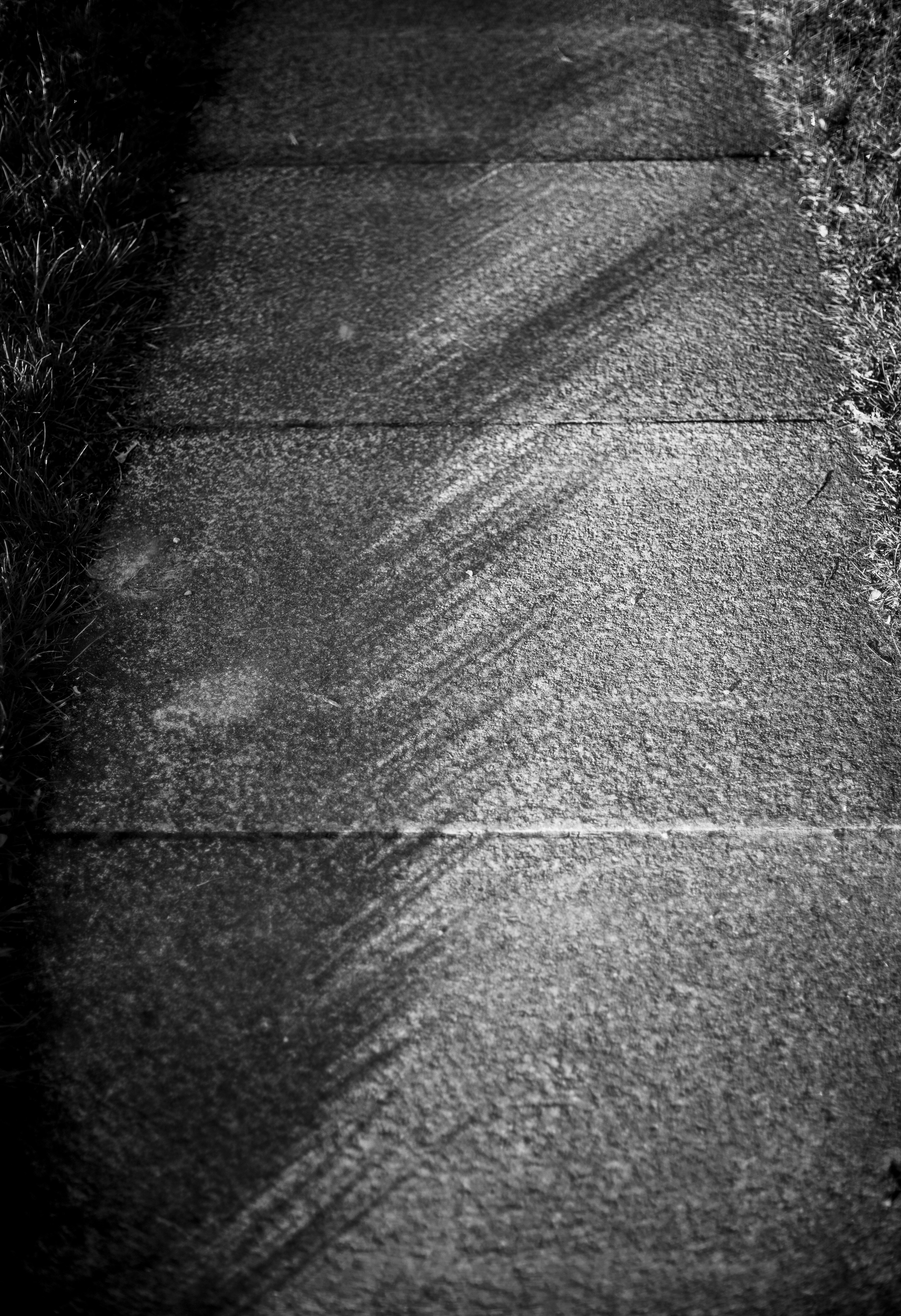 Stone steps with grass and shadows