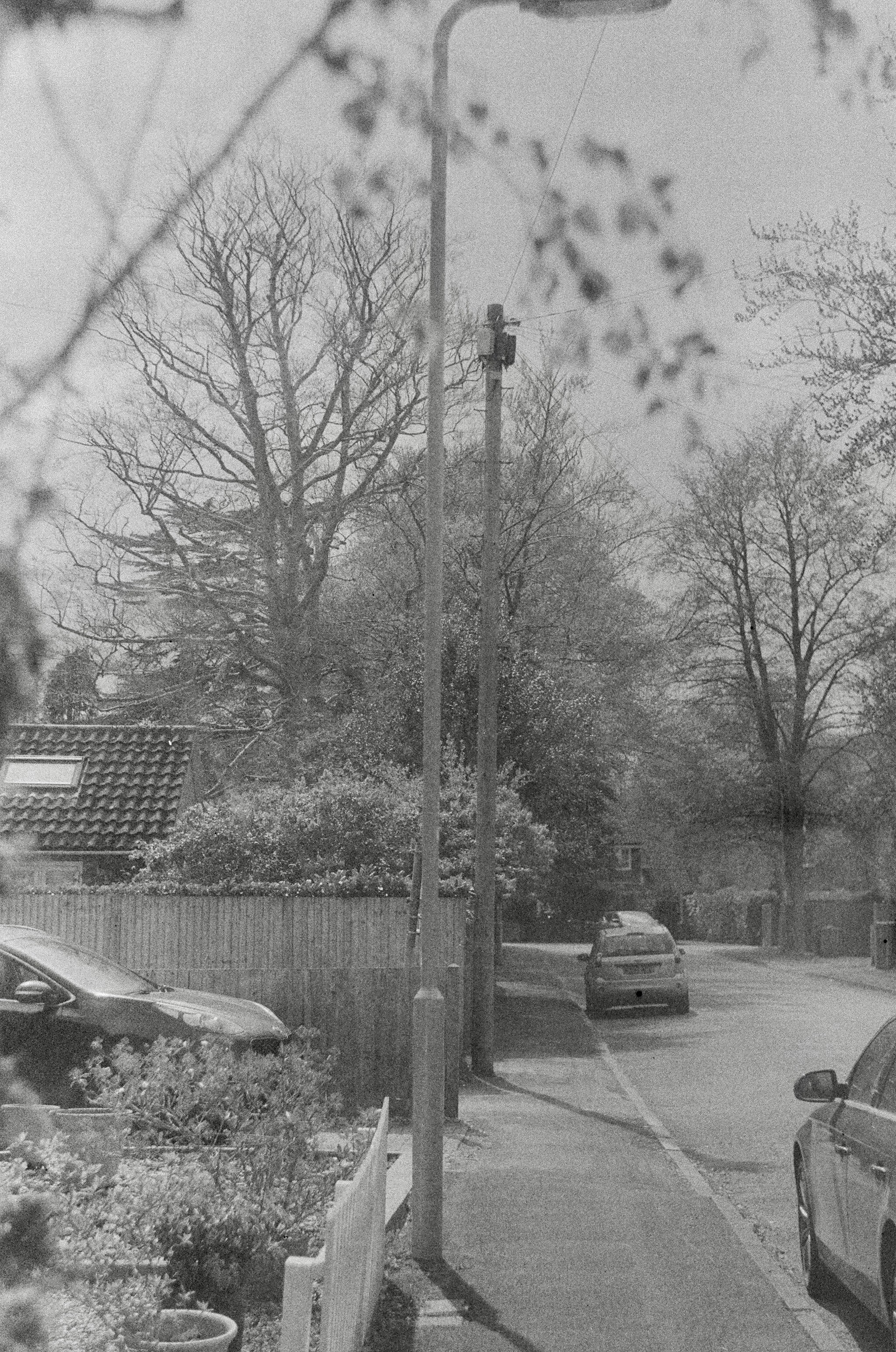 Photo by bruceb_uk