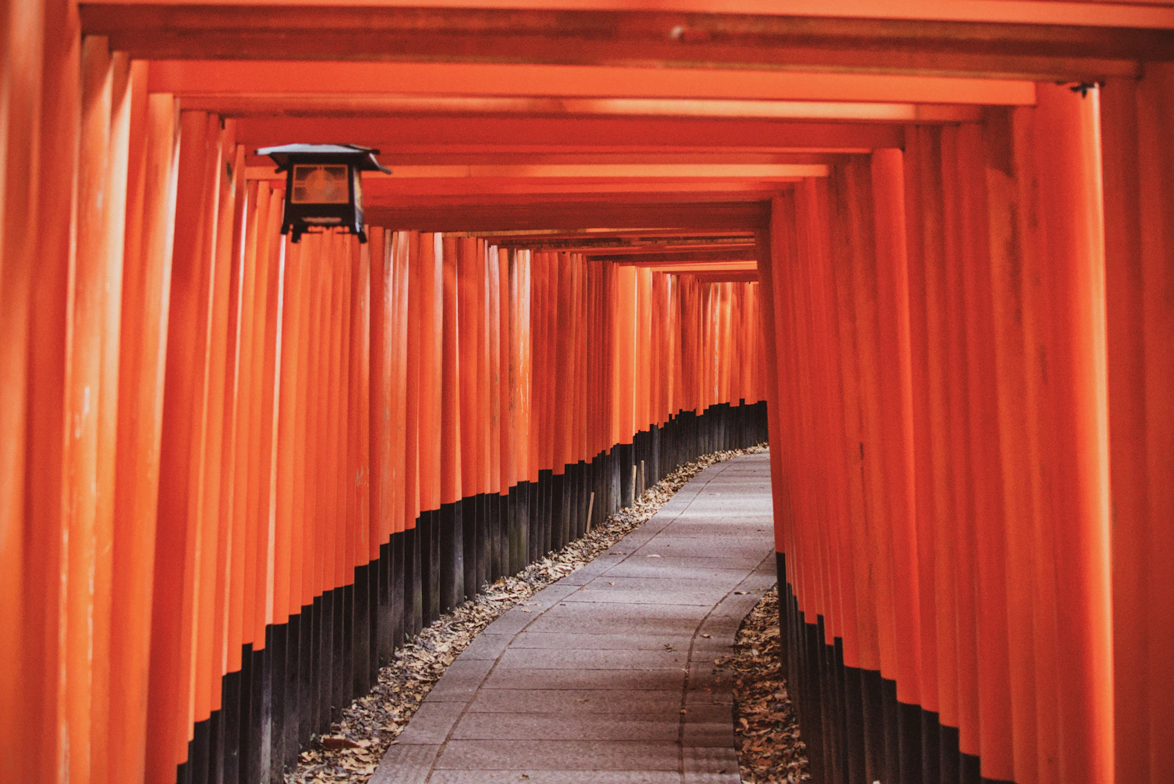 A pathway passing through rows of vermilion torii gates at Fushimi Inari