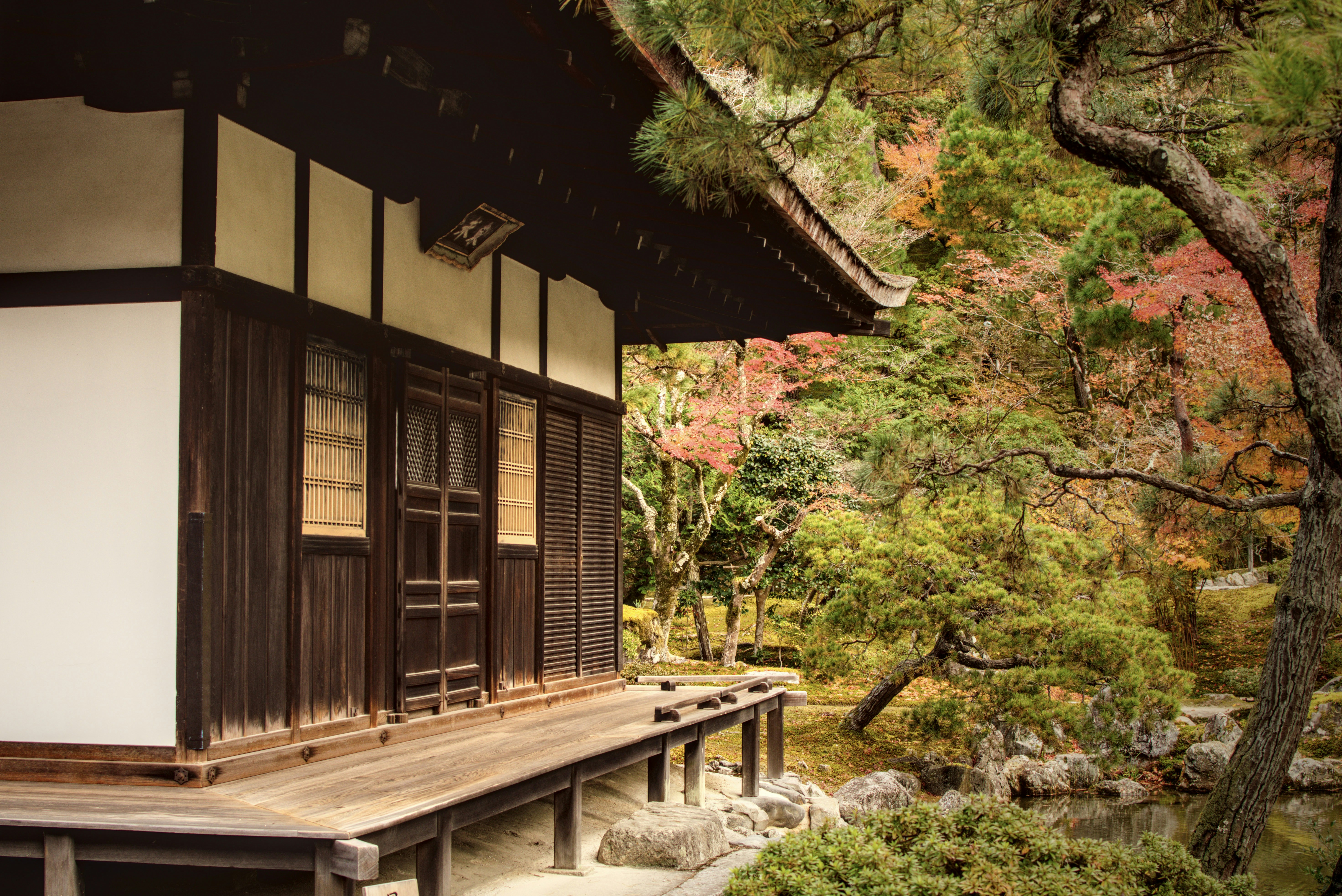 Edificio tradicional japonés con follaje otoñal