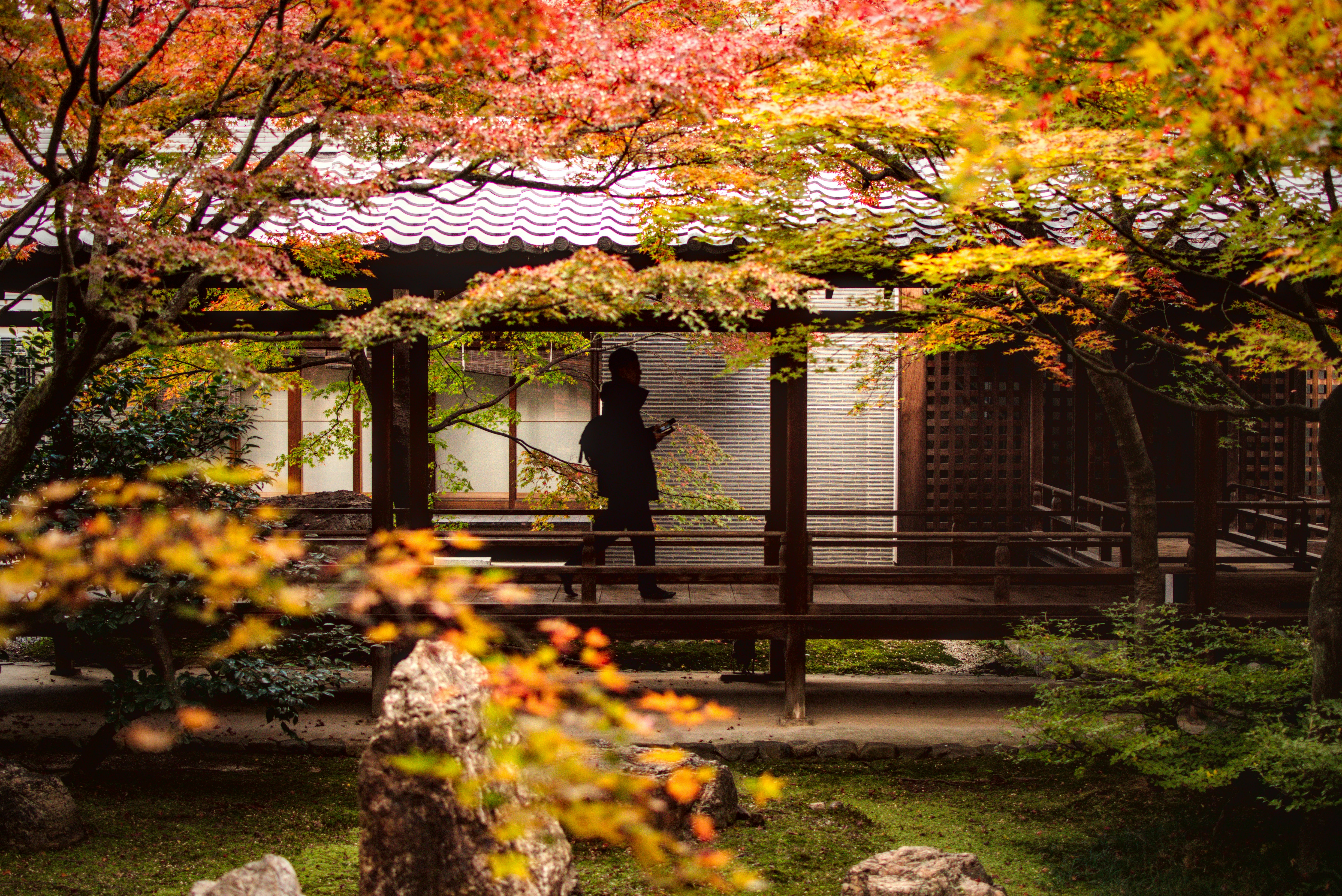 Persona de pie en un jardín tradicional japonés durante el otoño.