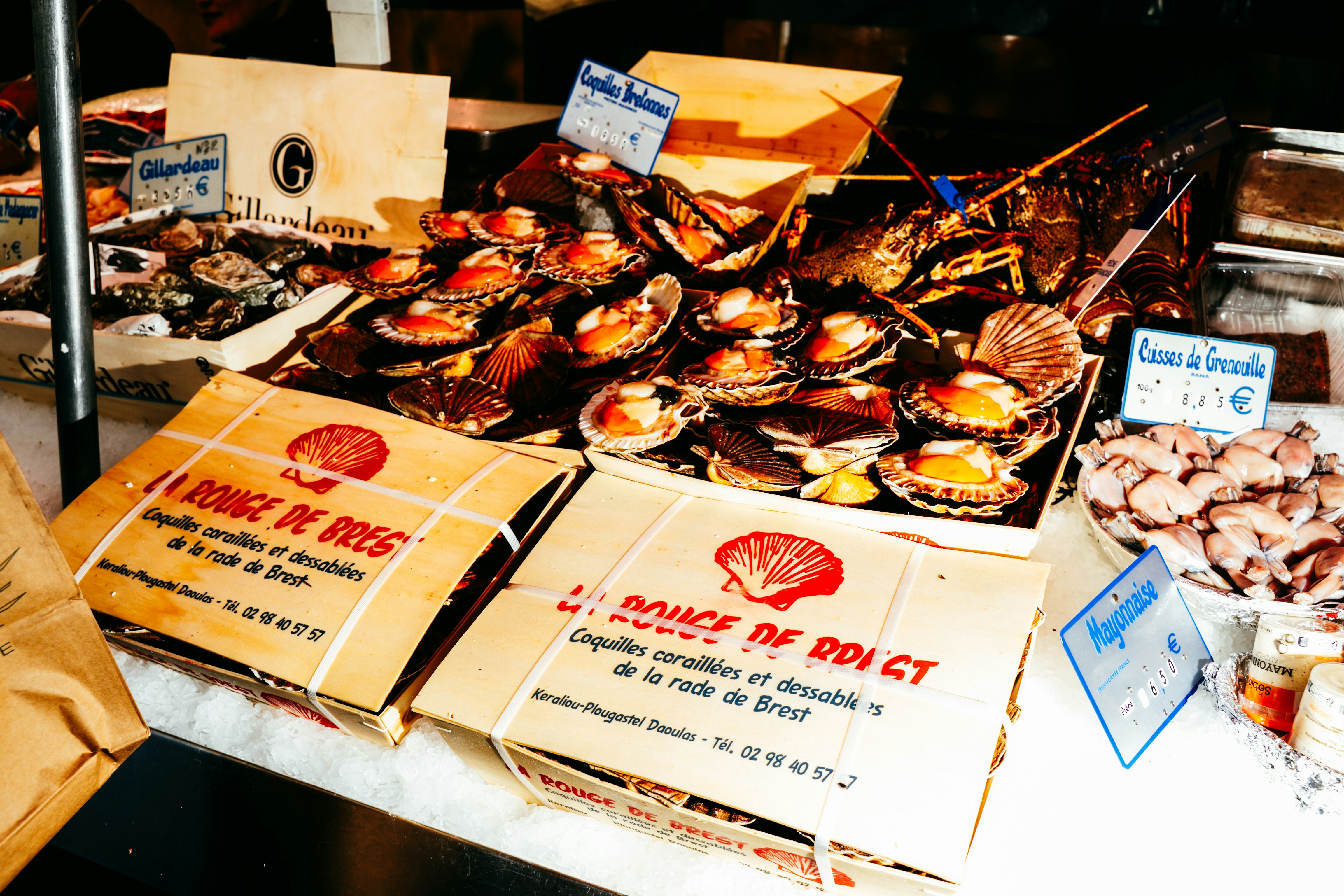 Frutti di mare freschi esposti in scatole e vassoi