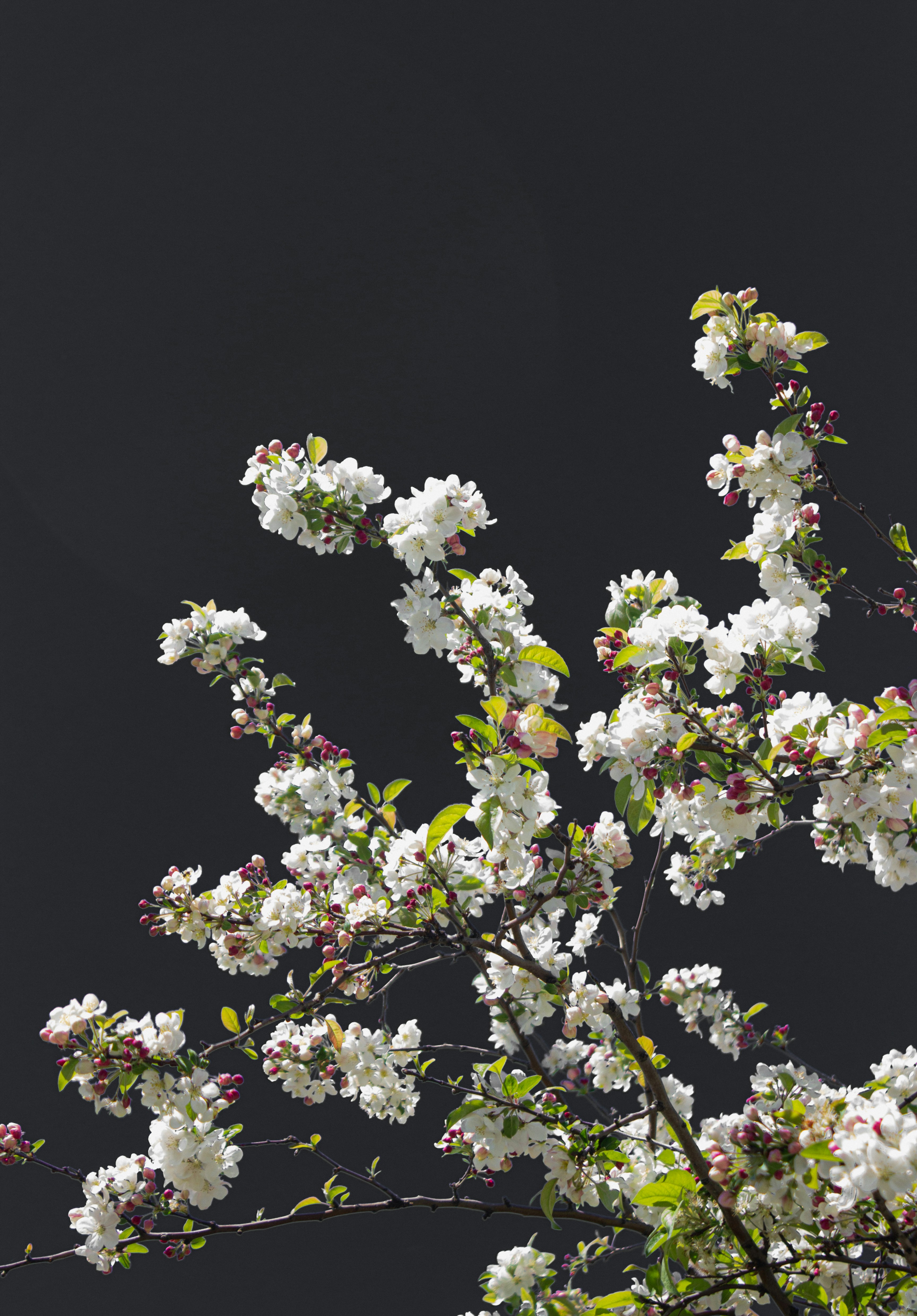 Photo by ilkeyazgan