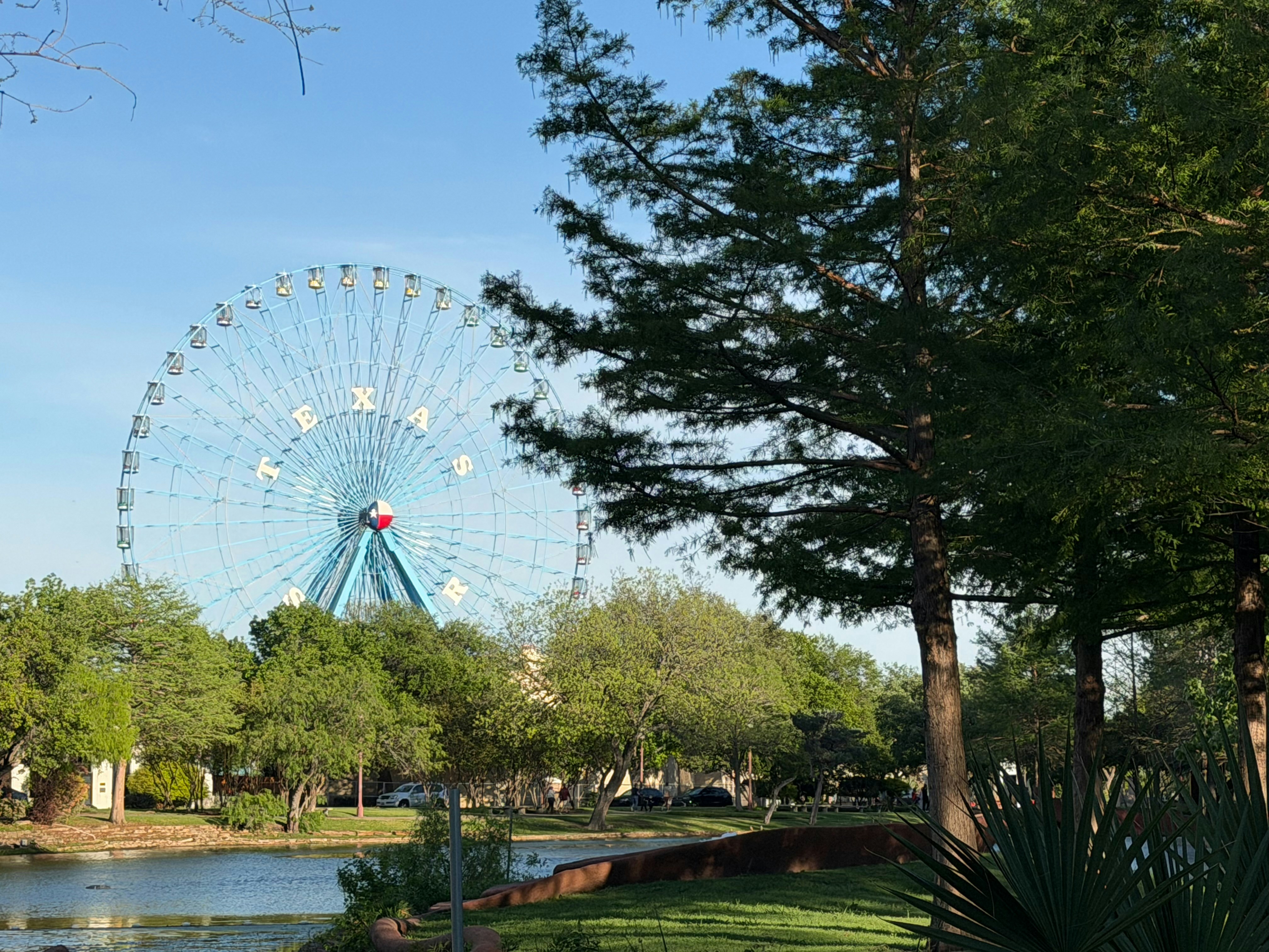 Ferris wheel with trees and lake on a sunny day