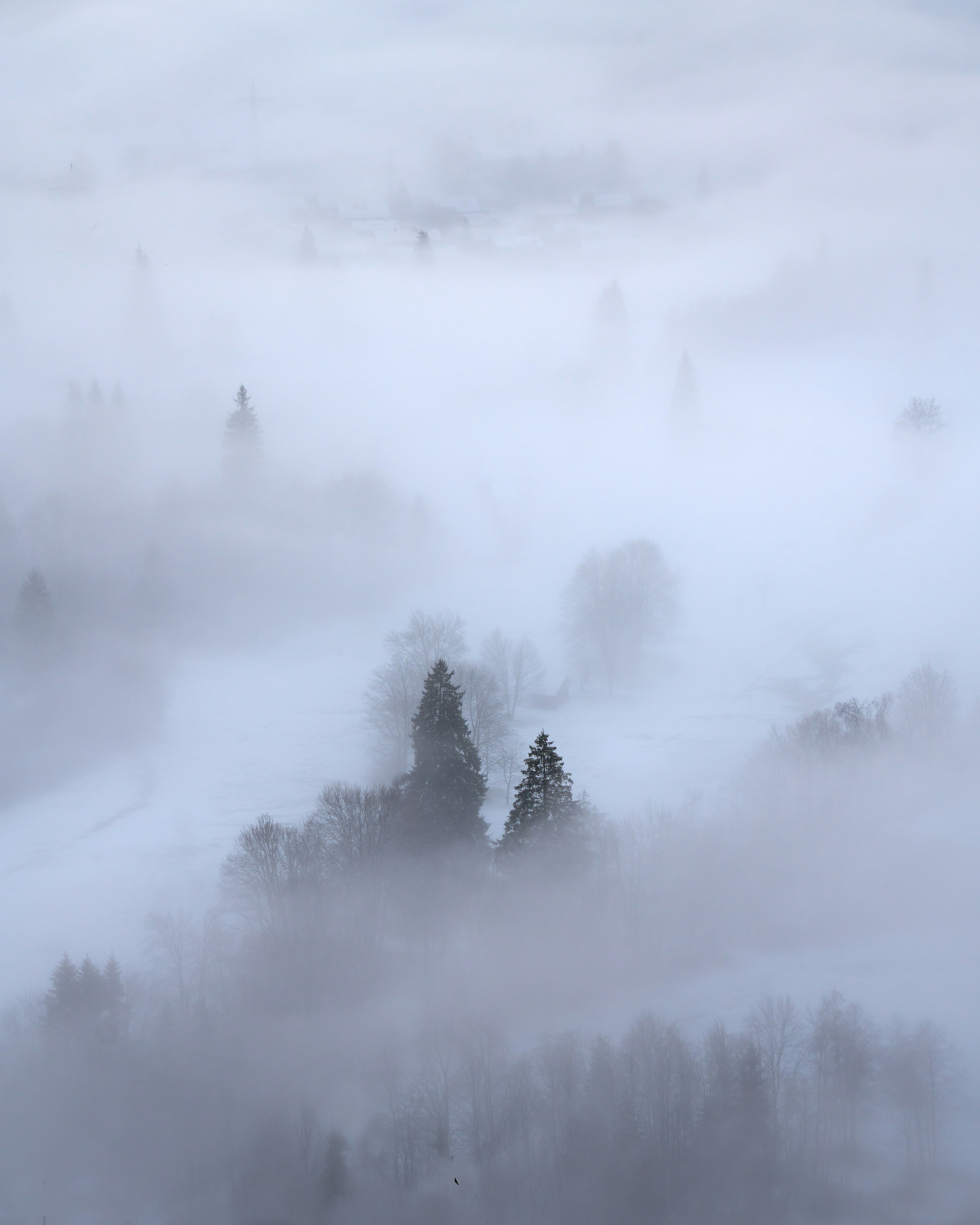Photo by artemisdesign
