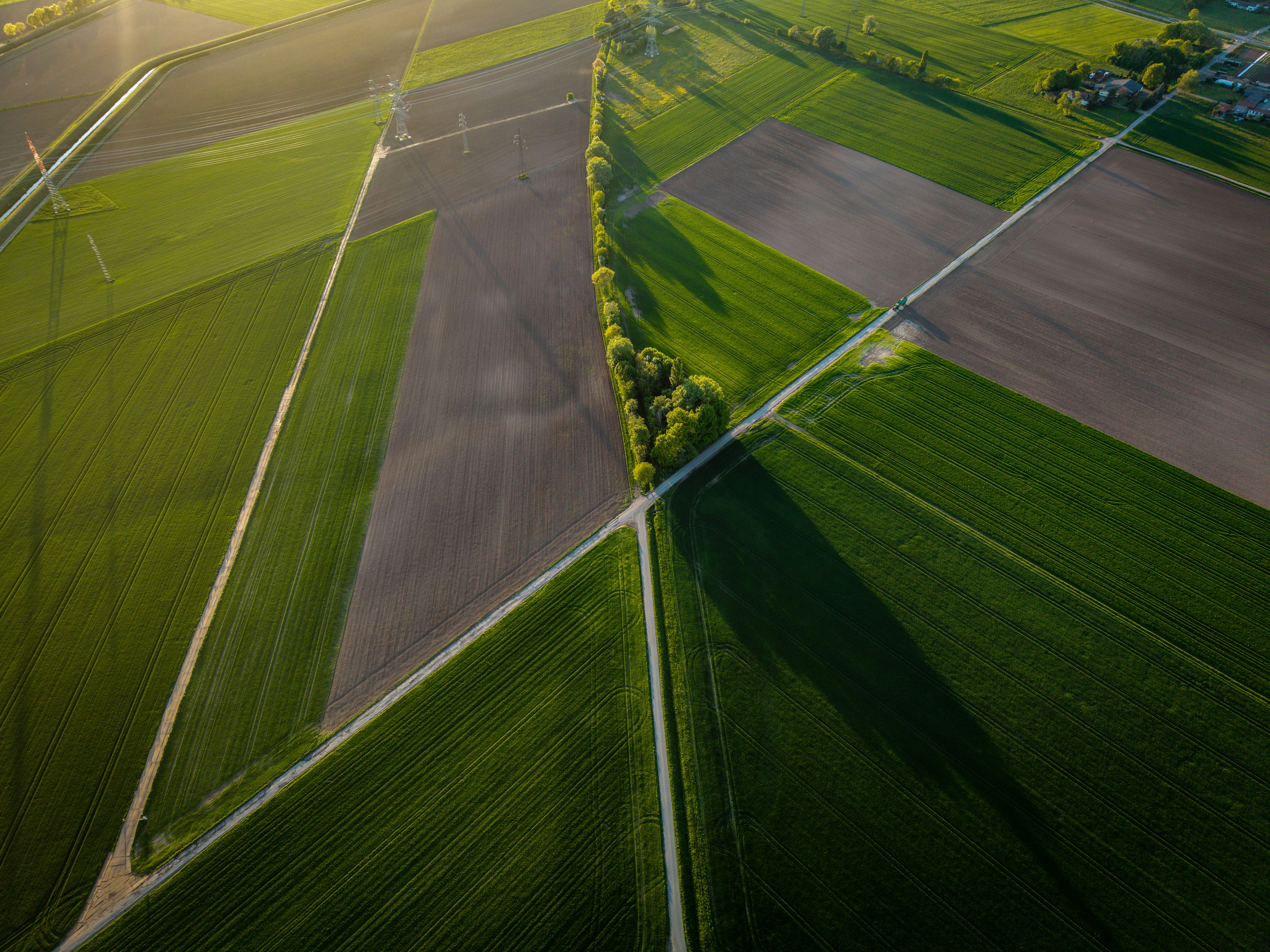 Aerial farm
