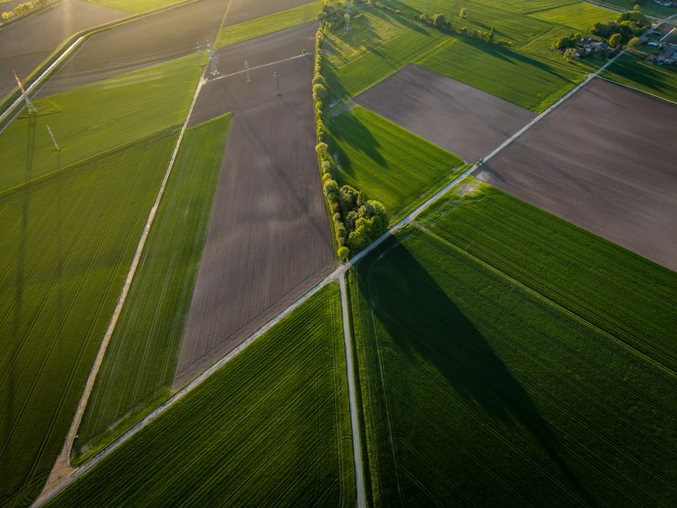 Agricultural fields and paths seen from above