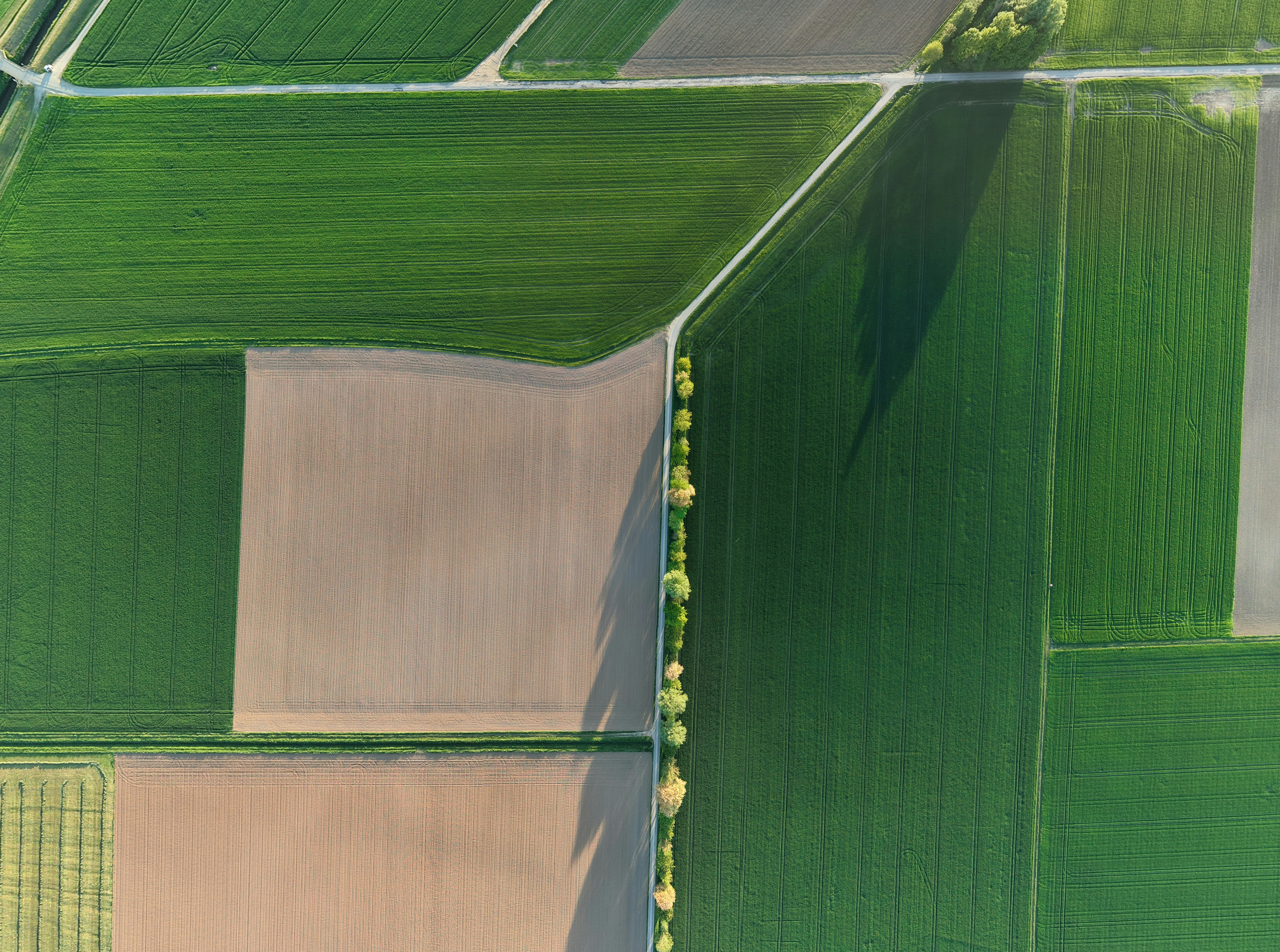 Sustainable crop fields with irrigation technology