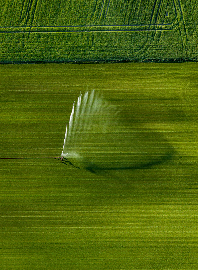 Water supply and irrigation network over farmland