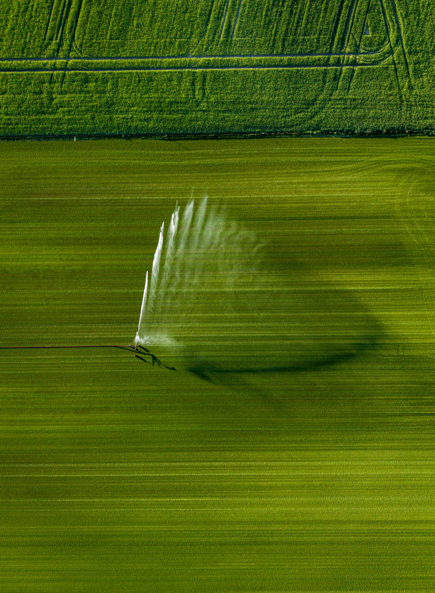 Pivô de irrigação sobre lavoura vista de cima