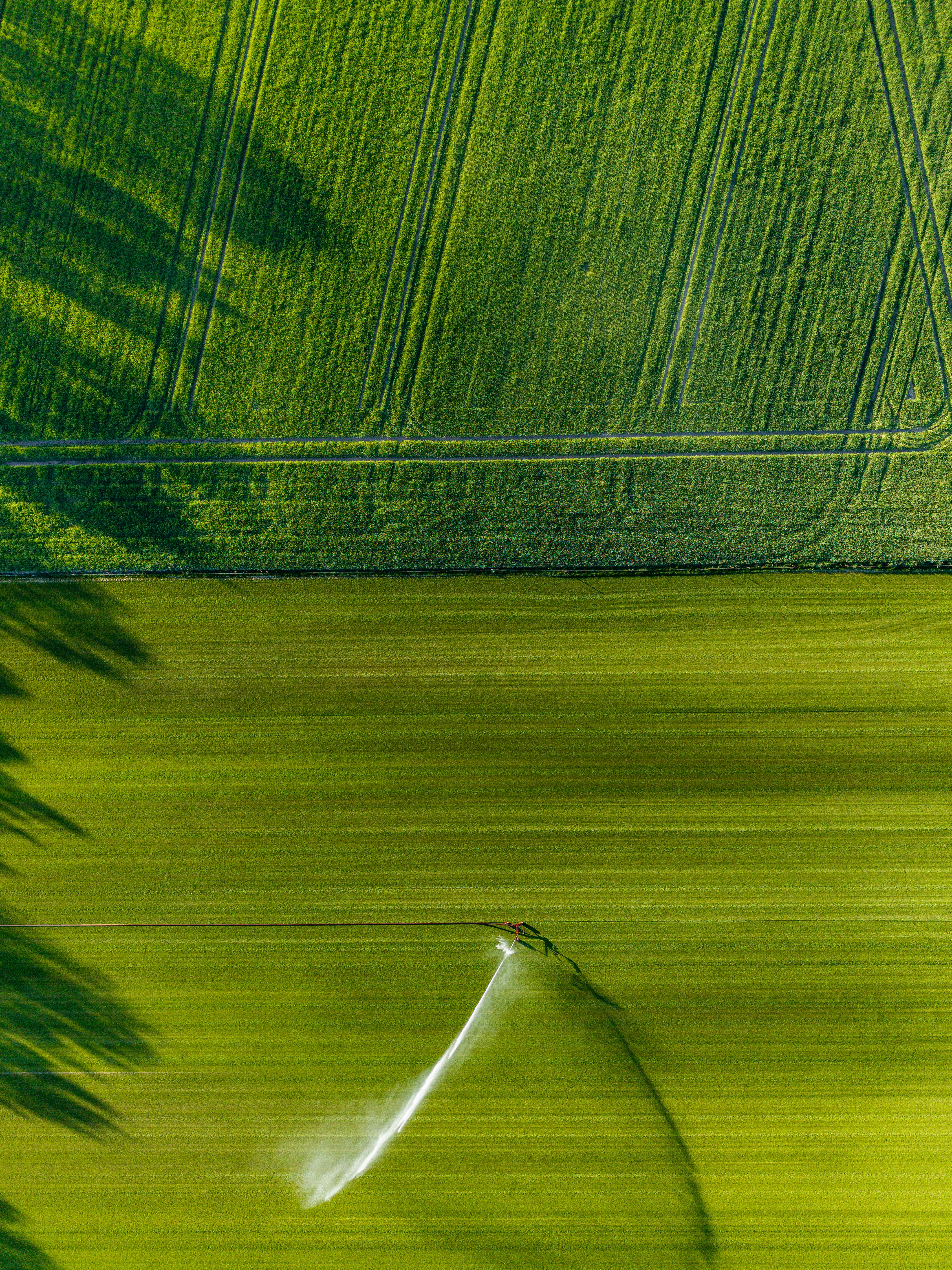 water conservation agriculture