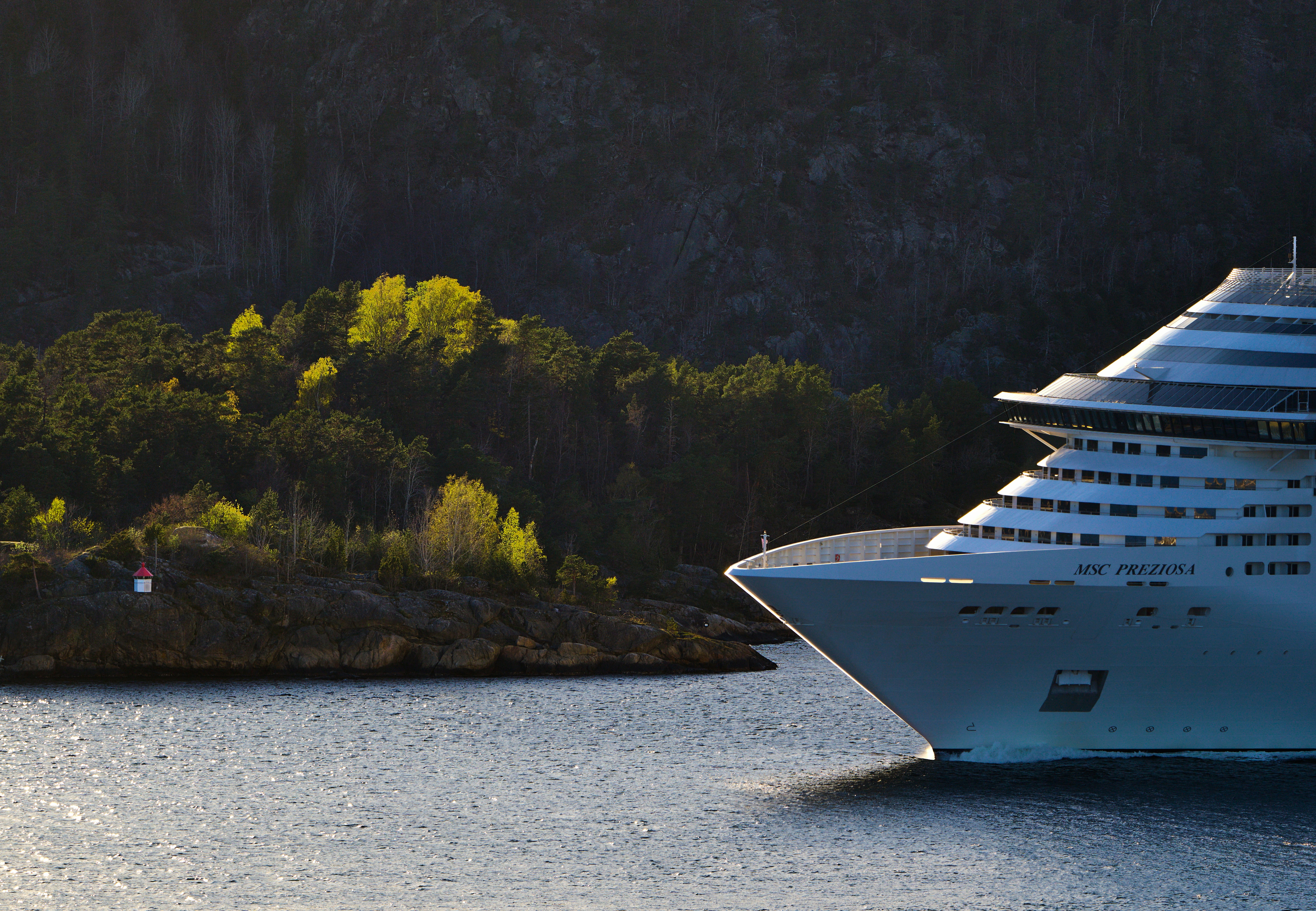 Una grande nave da crociera naviga vicino a una costa boscosa.