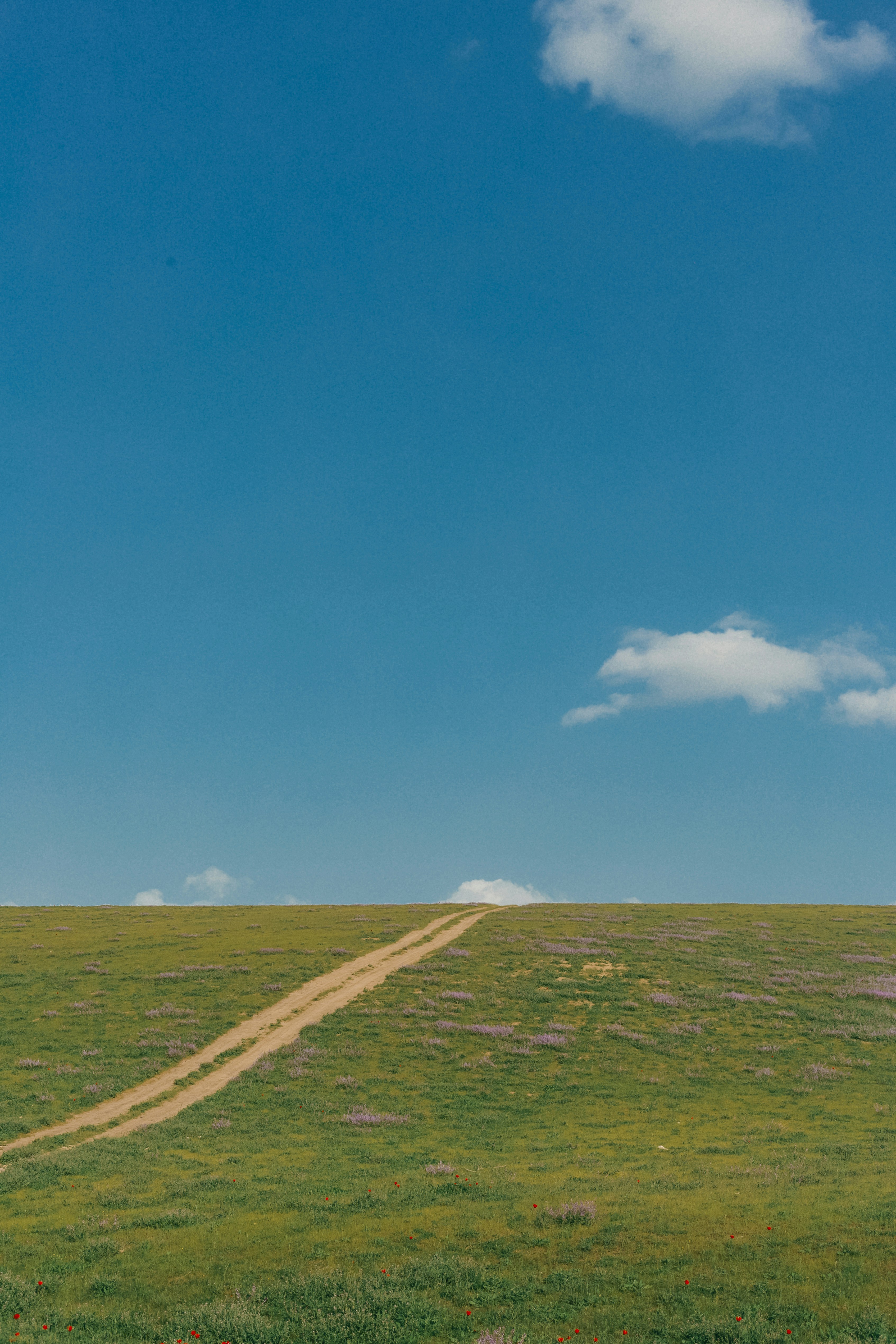 Dirt path through a grassy field under blue sky