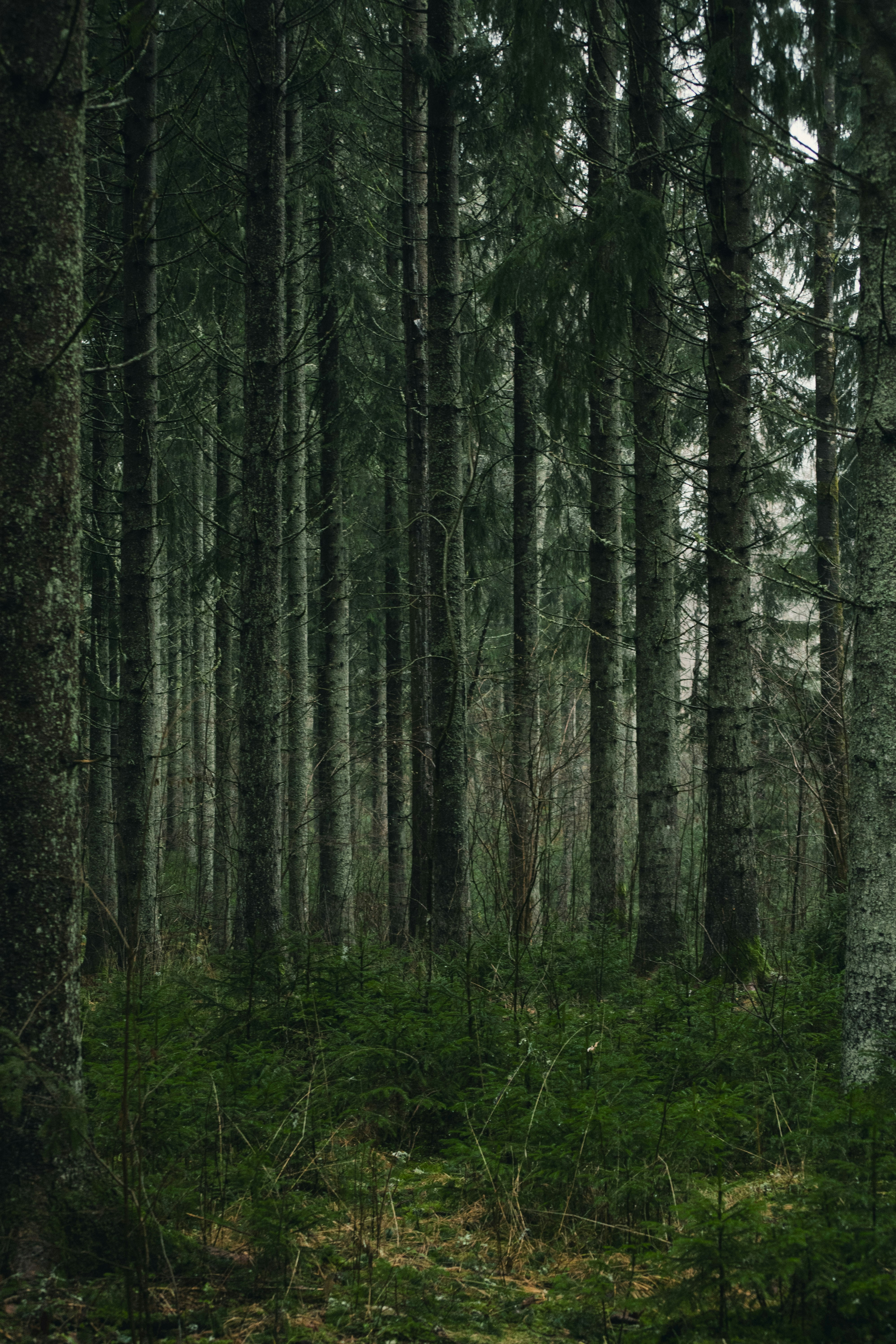 Photo by dipstories