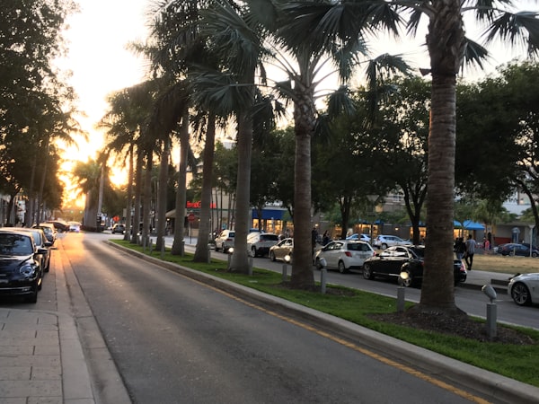 Week 2 — Sweet Afternoon
