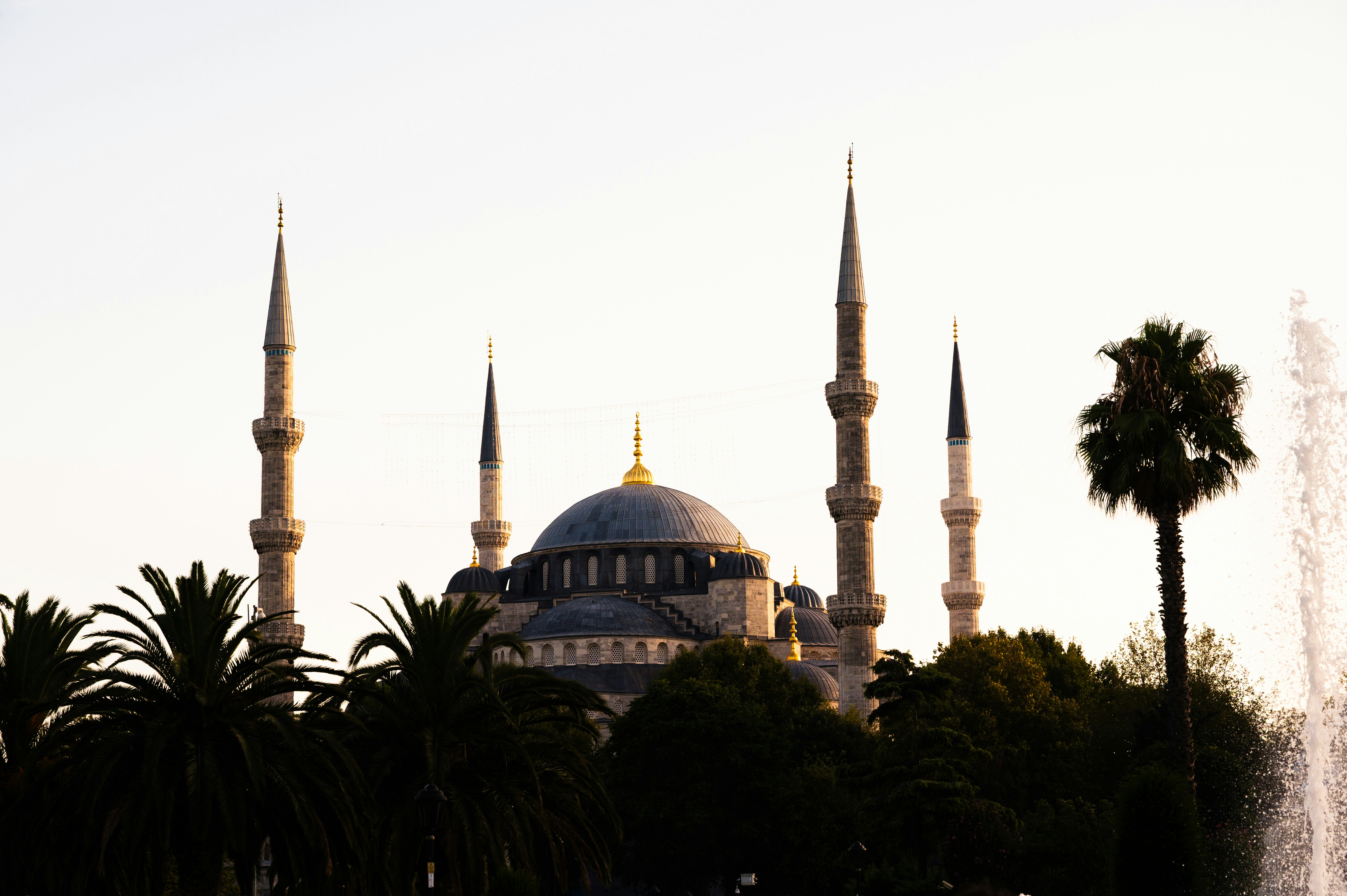Mezquita Sultan Ahmed con palmeras y fuente