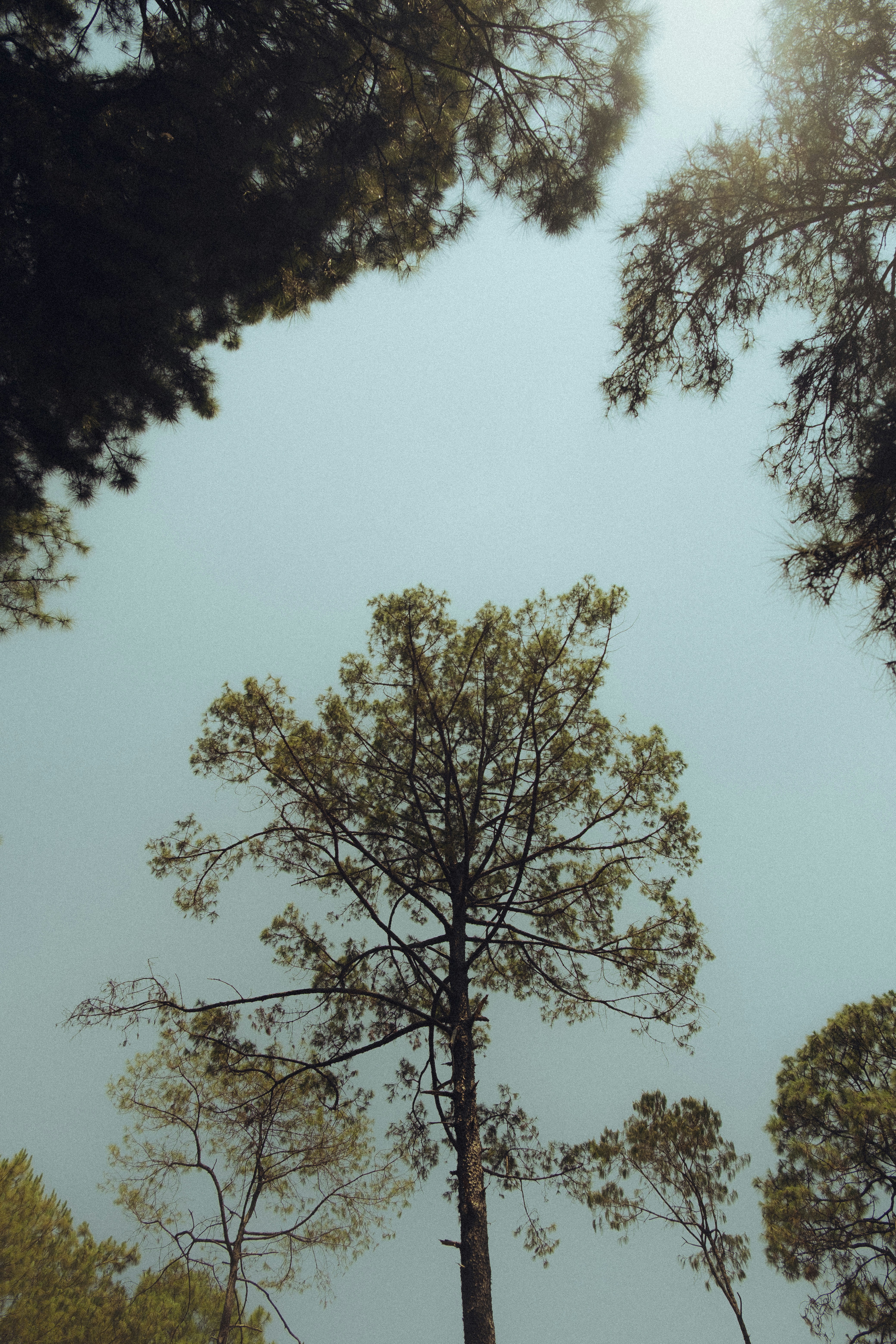 Photo by ry_ry