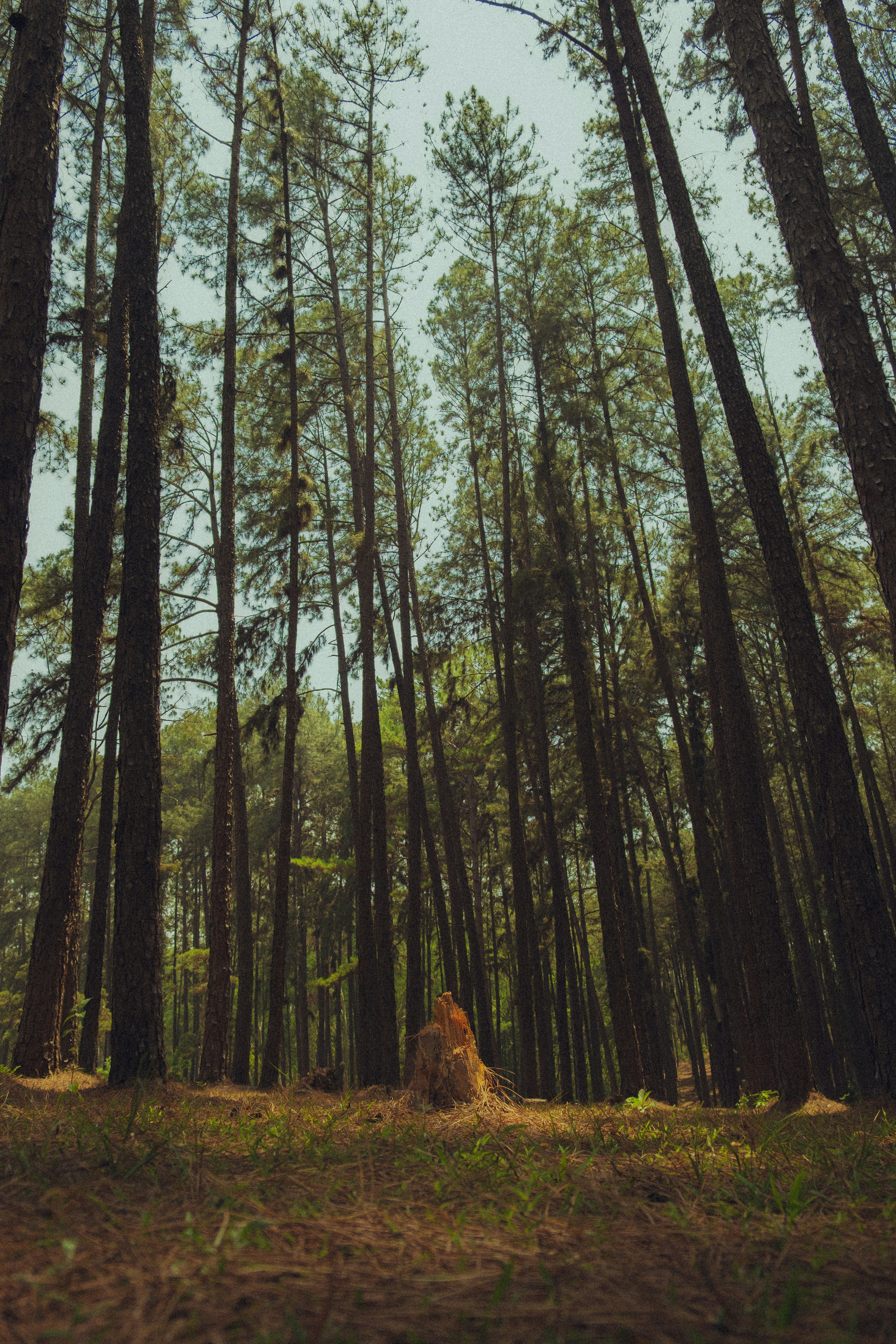 Photo by ry_ry