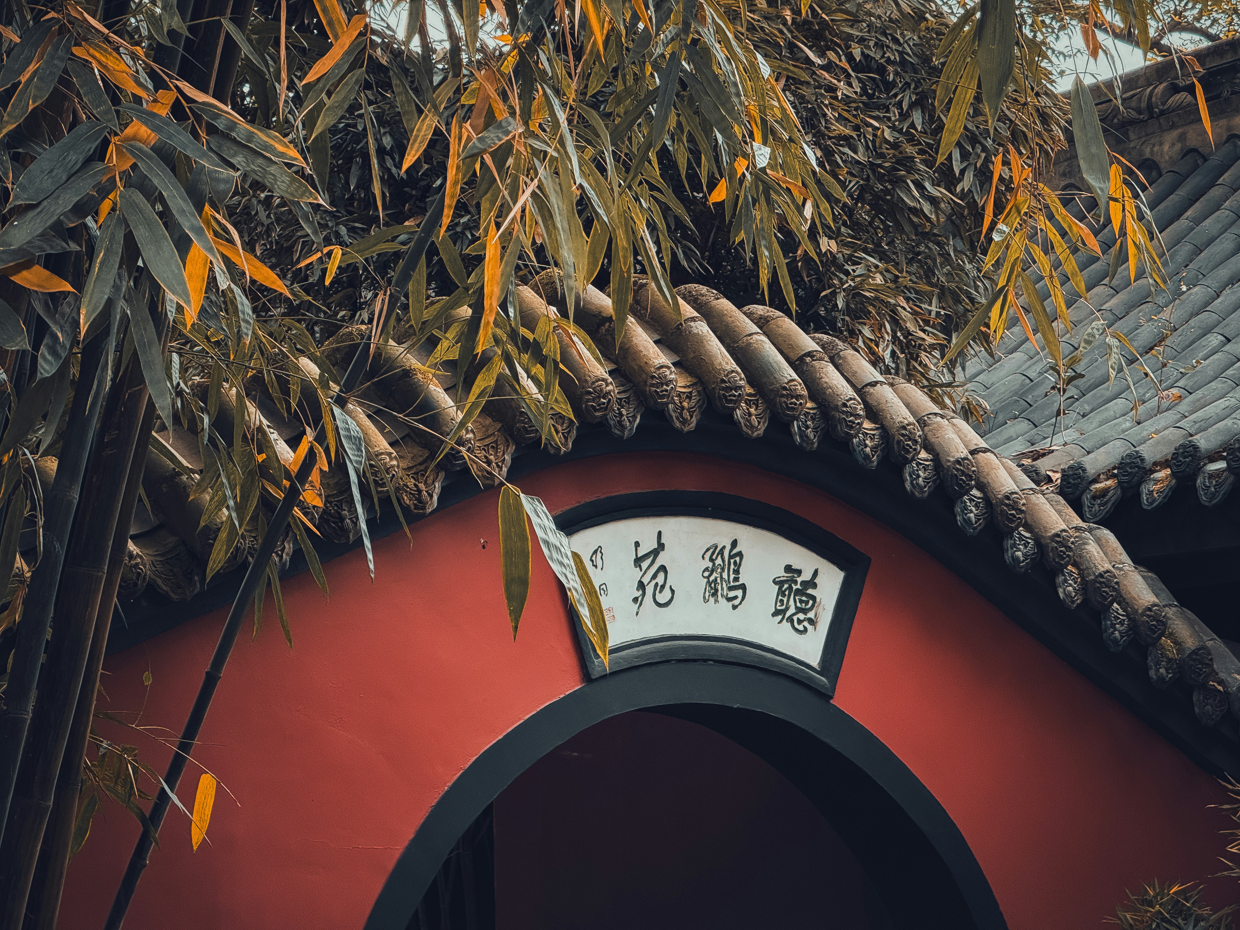 Chengdu Solo Female Travel Safety and Cultural Etiquette Guide 2026