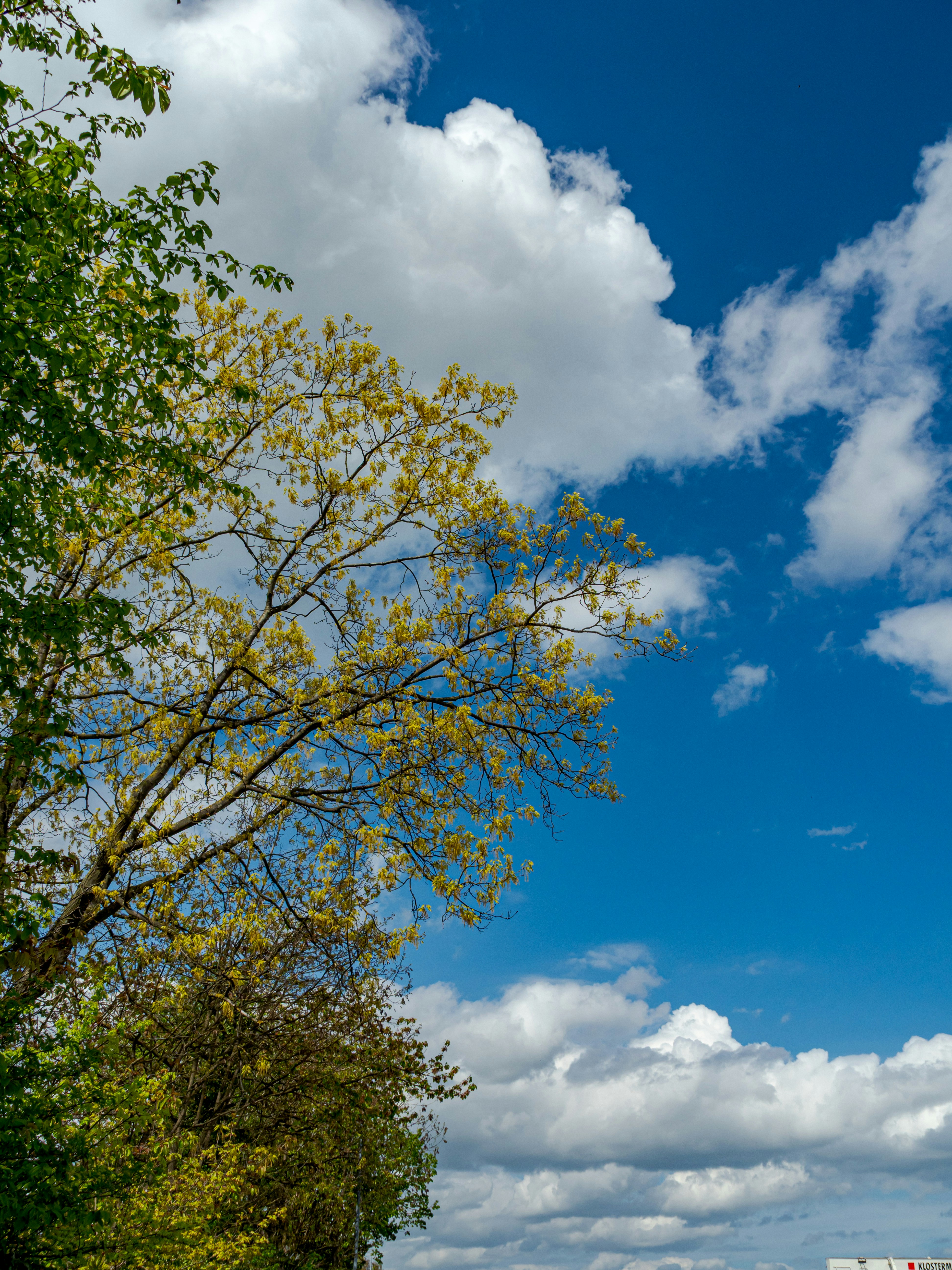 Photo by skstrannik